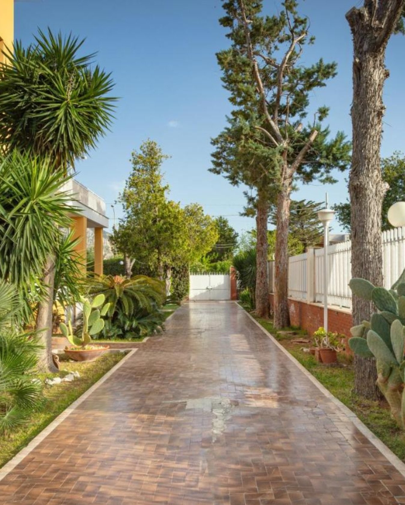 Sicilian sunshine and garden vibes, all yours to enjoy 🍋🌴🌞🌿
Book with us directly through WhatsApp or email for 10% off compared to other booking platforms.
📞(+39) 327 568 9898
📧maisonblanchemondello@gmail.com
#sicilytravel #maisonblanchemon