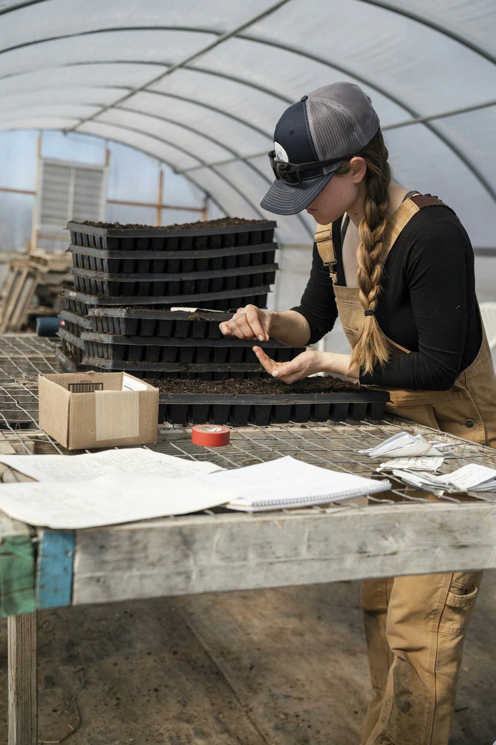 A woman working in a greenhouse, transplanting seedlings into trays filled with soil, with a stack of black trays on the table.