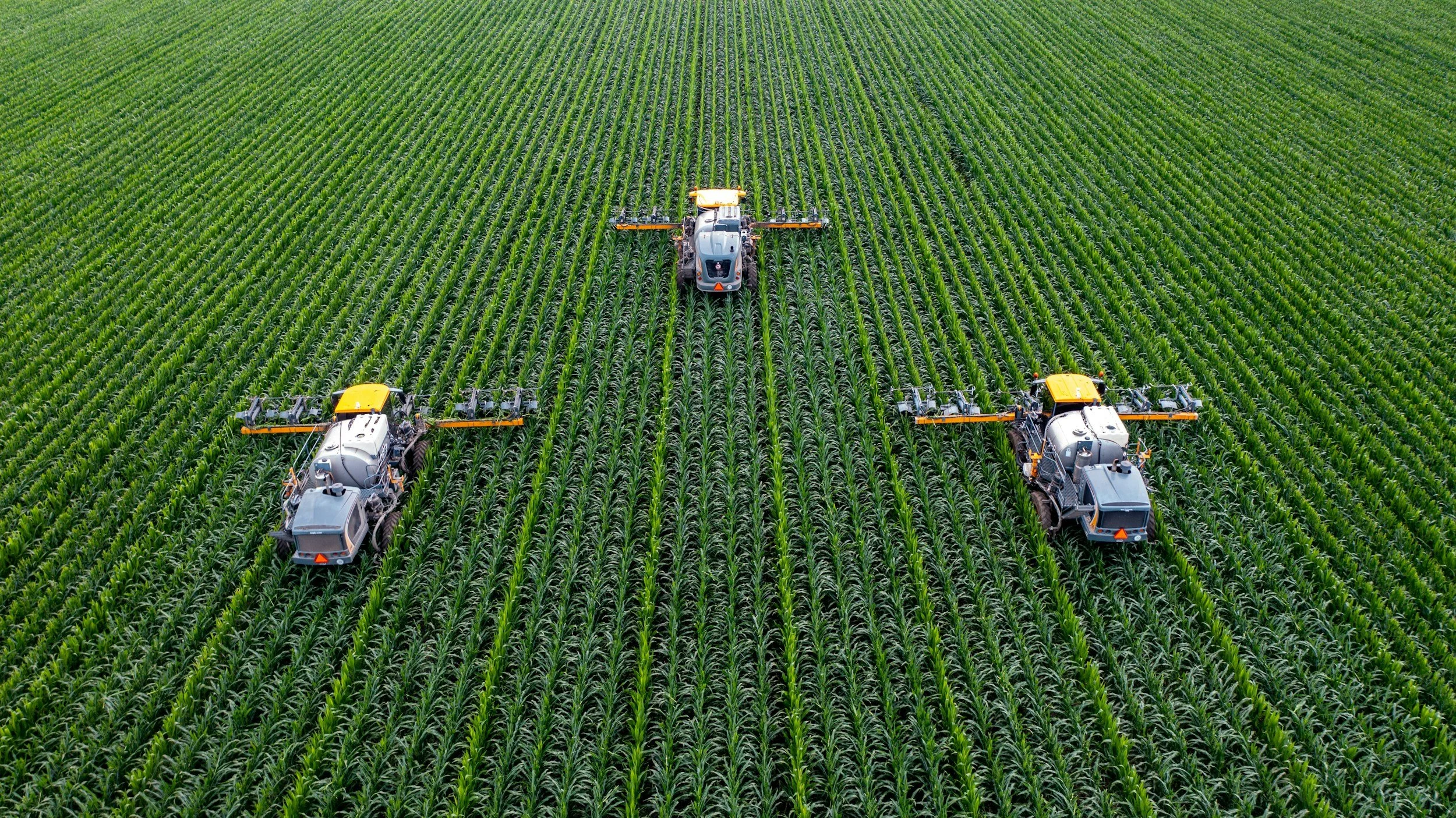 Three large agricultural spray machines working in a green cornfield, viewed from above.