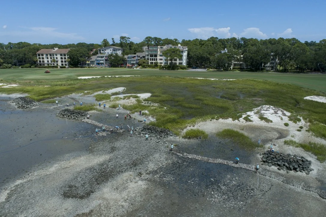 People walking on a rocky and sandy shoreline near a grassy area, with residential buildings and trees in the background under a blue sky.
