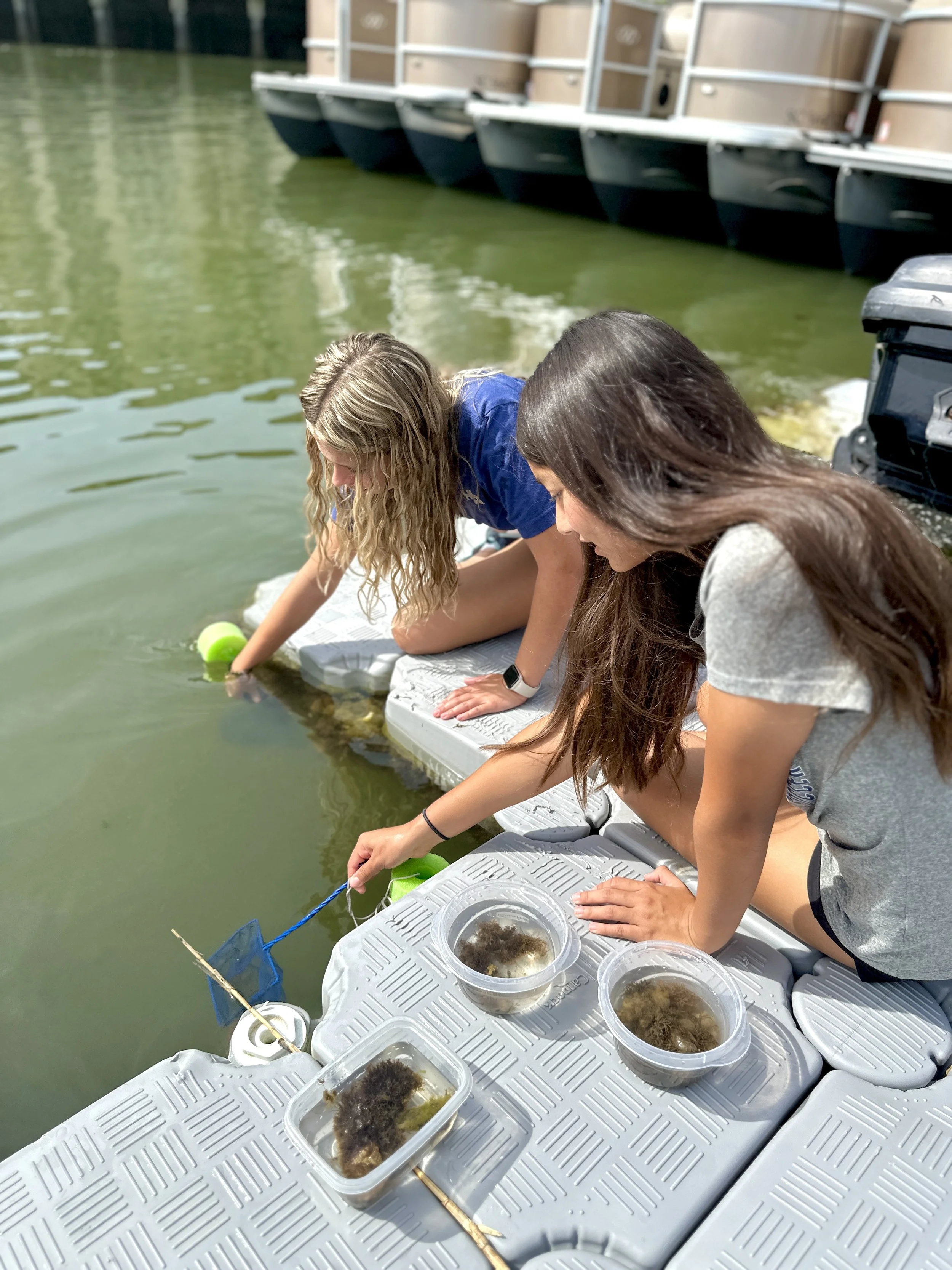 Two women are sitting on a dock by the water, examining marine life in small clear containers. There are several containers with seaweed and marine creatures, and a small blue net is nearby.