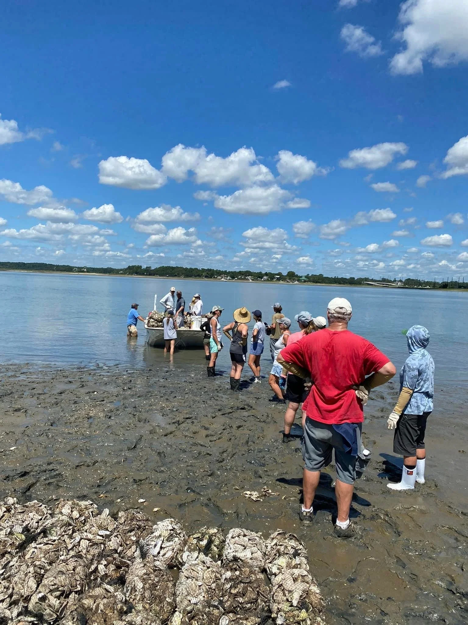 People collecting oysters along a shoreline with a boat in the water, under a partly cloudy sky.