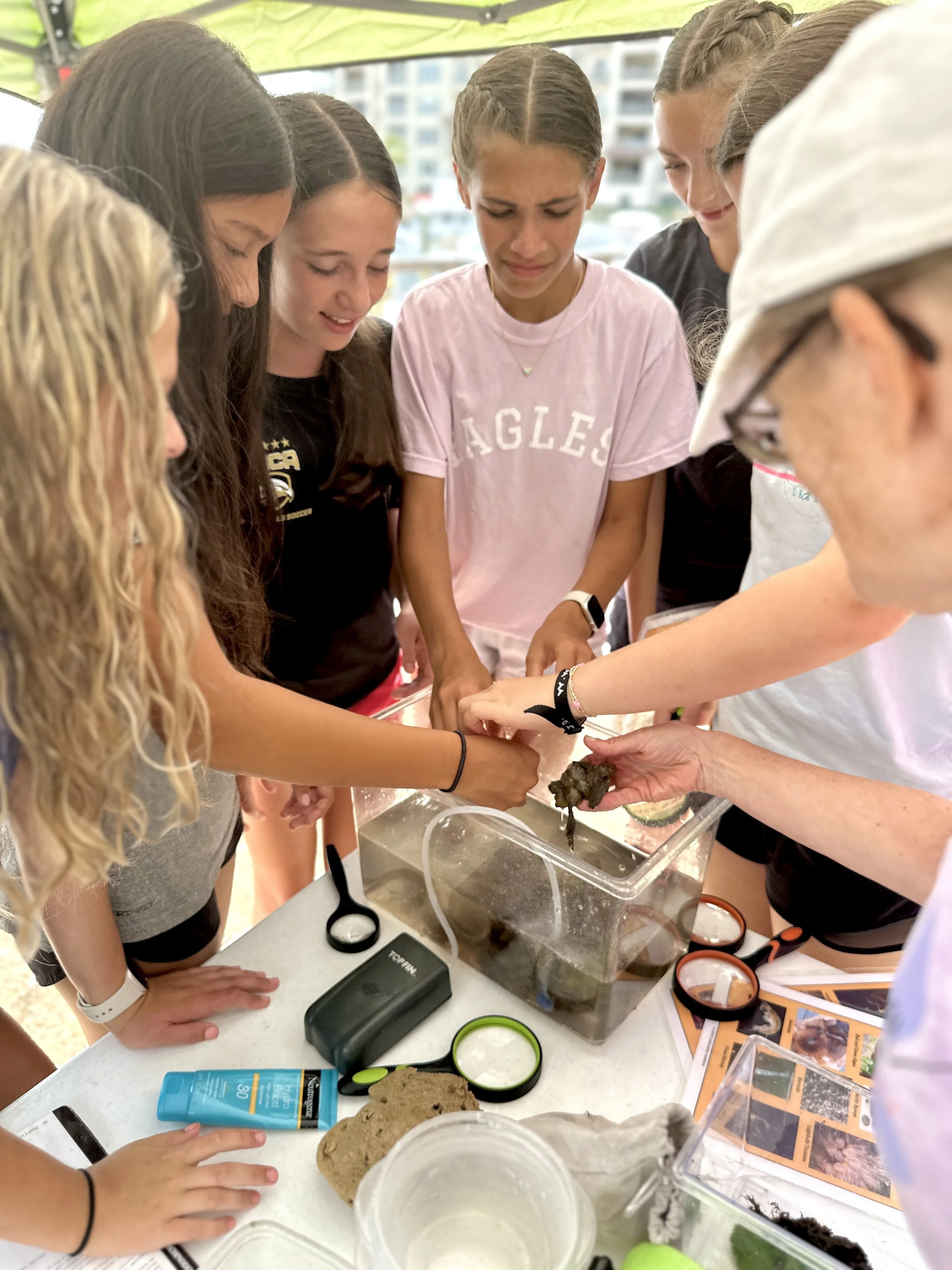 Group of girls looking at and working with a small animal, possibly a turtle or tortoise, inside a plastic container at an outdoor educational event.