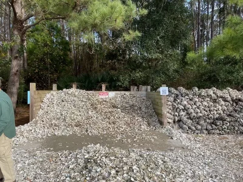 Large pile of rubble or shells, with partially constructed wooden panels behind it, in a wooded outdoor setting.