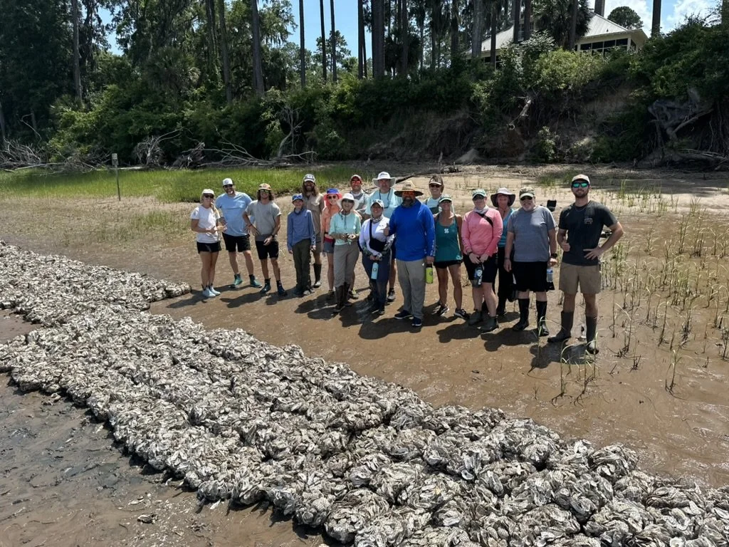 Group of people in outdoor clothing and hats standing on muddy area near a row of planted oysters, with trees and a house in the background.