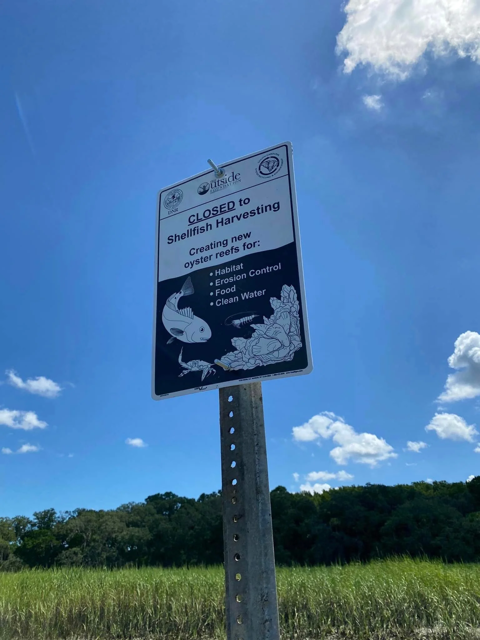 Sign indicating the area is closed to shellfish harvesting for habitat, erosion control, food, and clean water, with a background of green field, trees, blue sky, and clouds.