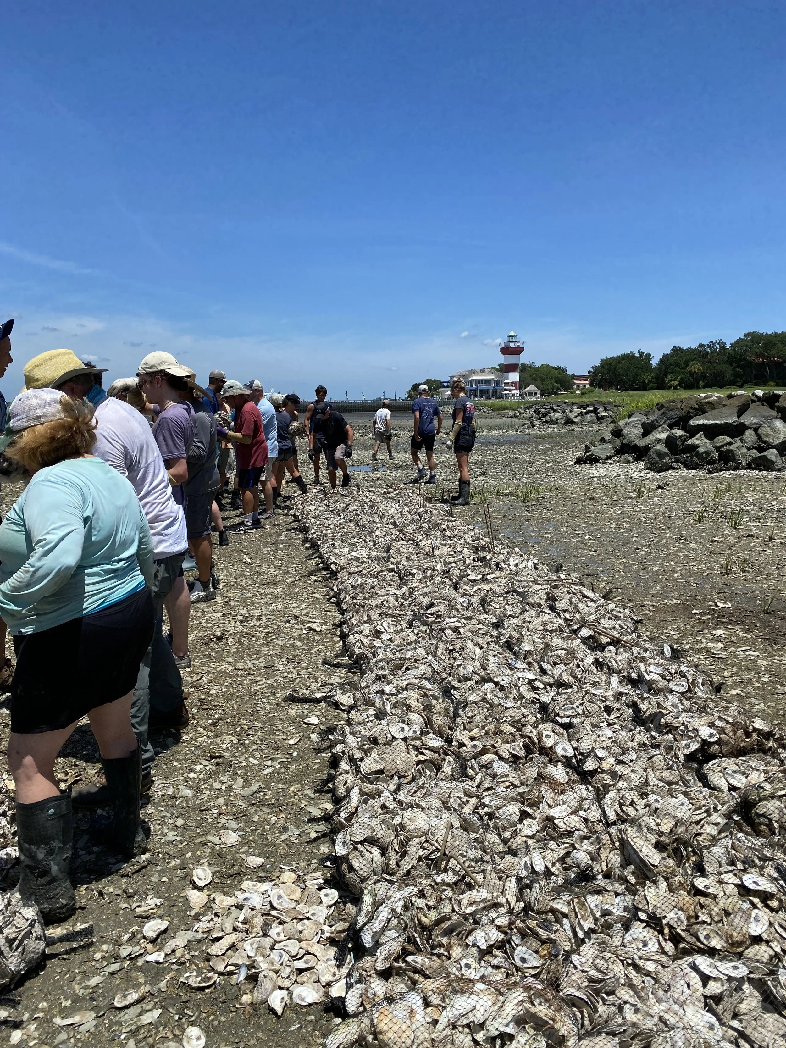 People observing a large pile of discarded shells and fish remains on a rocky shoreline, with a lighthouse and clear blue sky in the background.