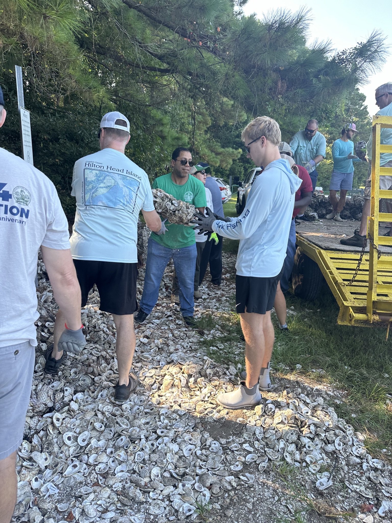 People gathered outdoors near a large pile of seashells, some helping to move them while others watch, with trees and parked cars in the background.