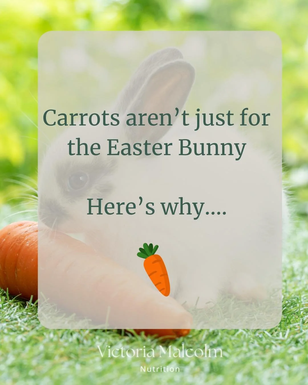 Hop into National Carrot Day with a little Easter sparkle 🥕

Carrots aren&rsquo;t just for the Easter Bunny, they&rsquo;re packed with beta-carotene to support healthy vision, immune function, and glowing skin 🌿

Whether you&rsquo;re roasting them 