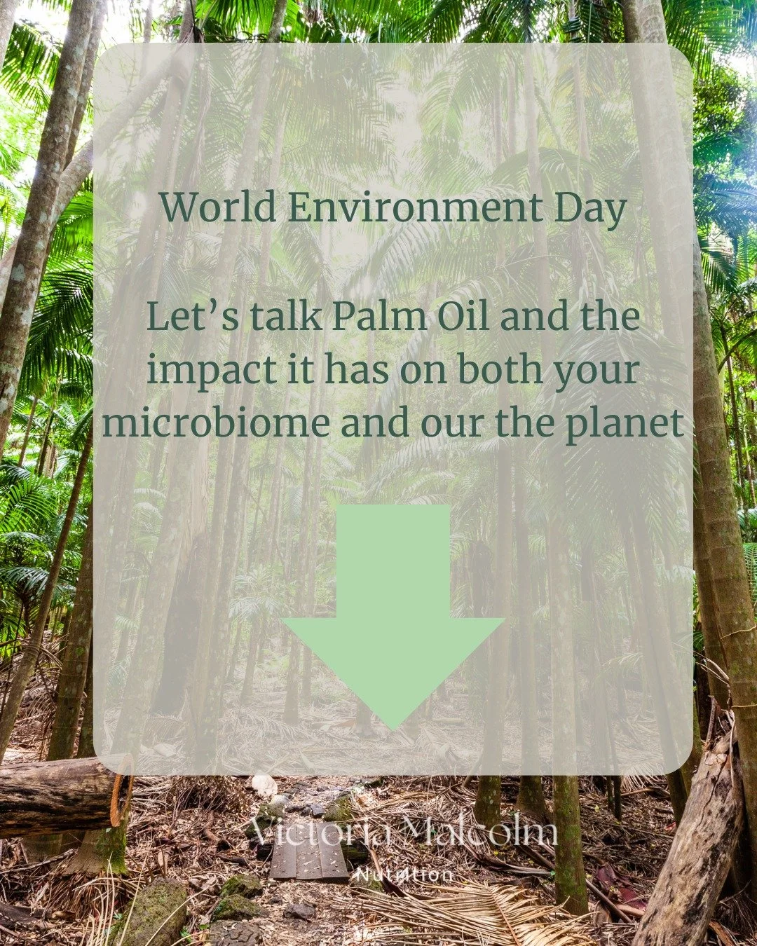 As a registered nutritional therapist, I often talk about how food impacts our health, but it also impacts the planet.

Palm oil is one of the most widely used vegetable oils, found in many processed and even &lsquo;healthy&rsquo; snacks. From a heal