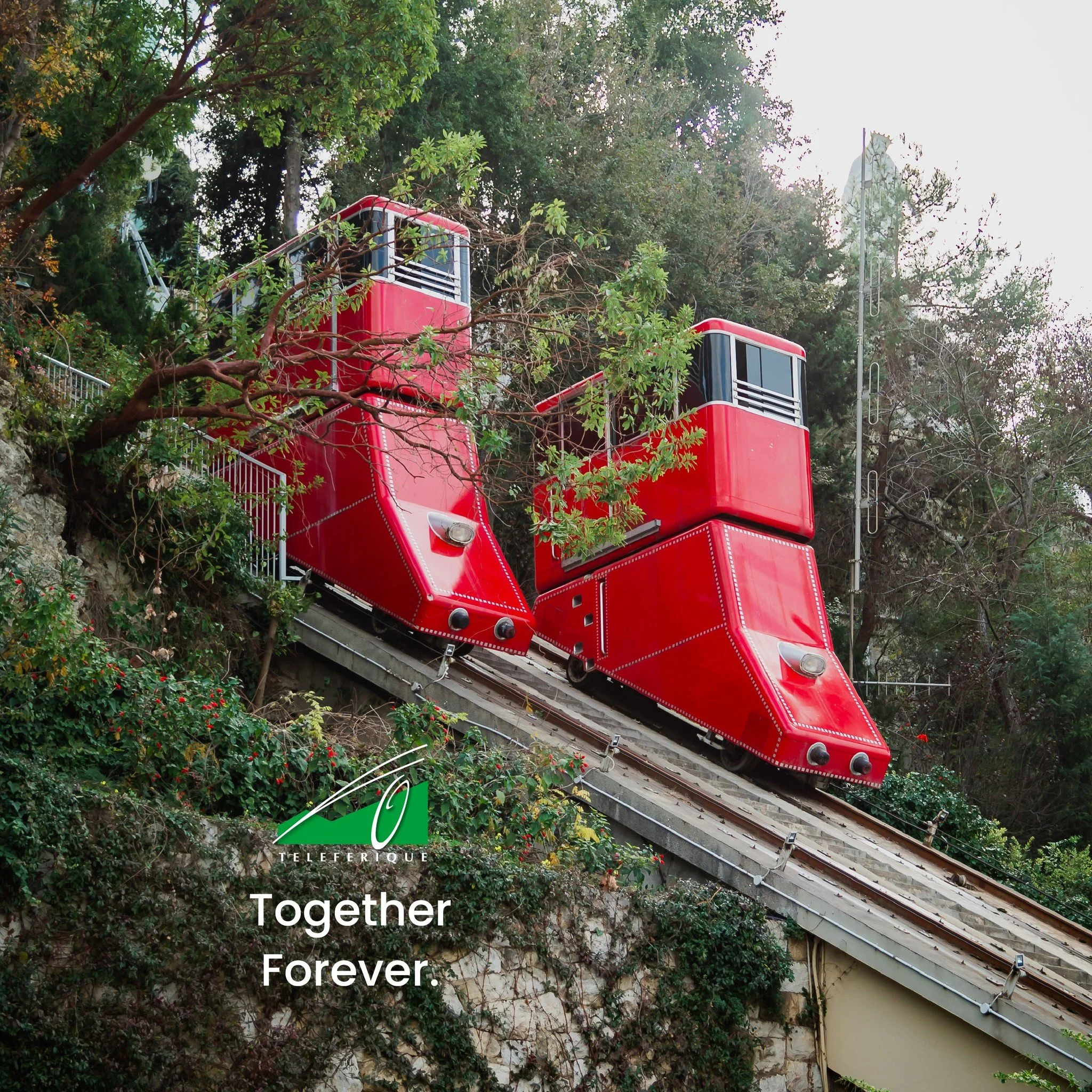 Together Forever!
معاً للأبد 

#Teleferique #Harissa #Beirut #Jounieh #Lebanon #TeleferiqueLebanon #tourism #ourladyoflebanon #بيروت #لبنان