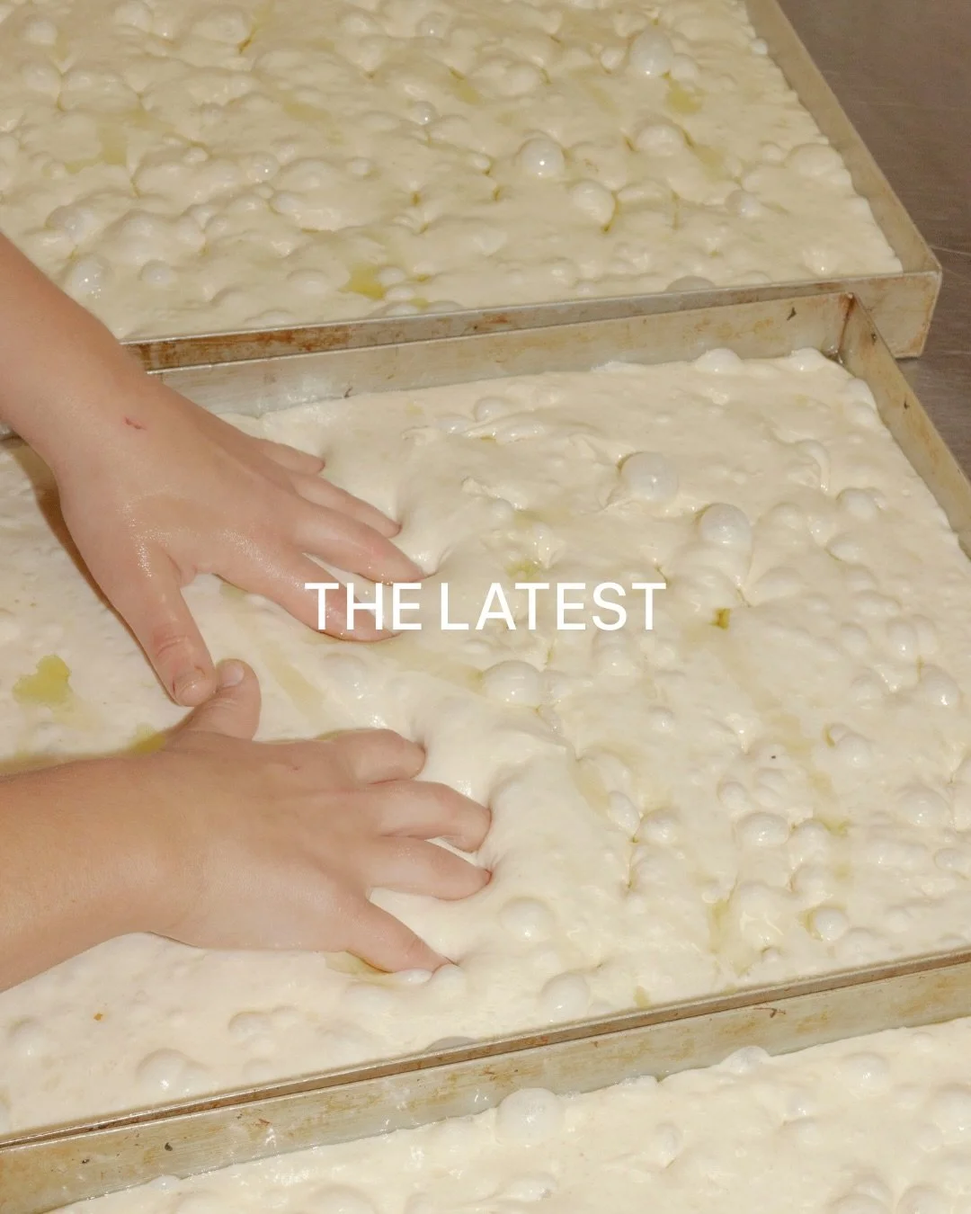 The latest at side piece. A few new additions and a little summer refresh to our focaccias.

Sopressa
sliced sopressa salami, house made ajvar, pickled aubergine and labneh served between sliced focaccia

Squash &amp; Zucchini
marinated squash and zu