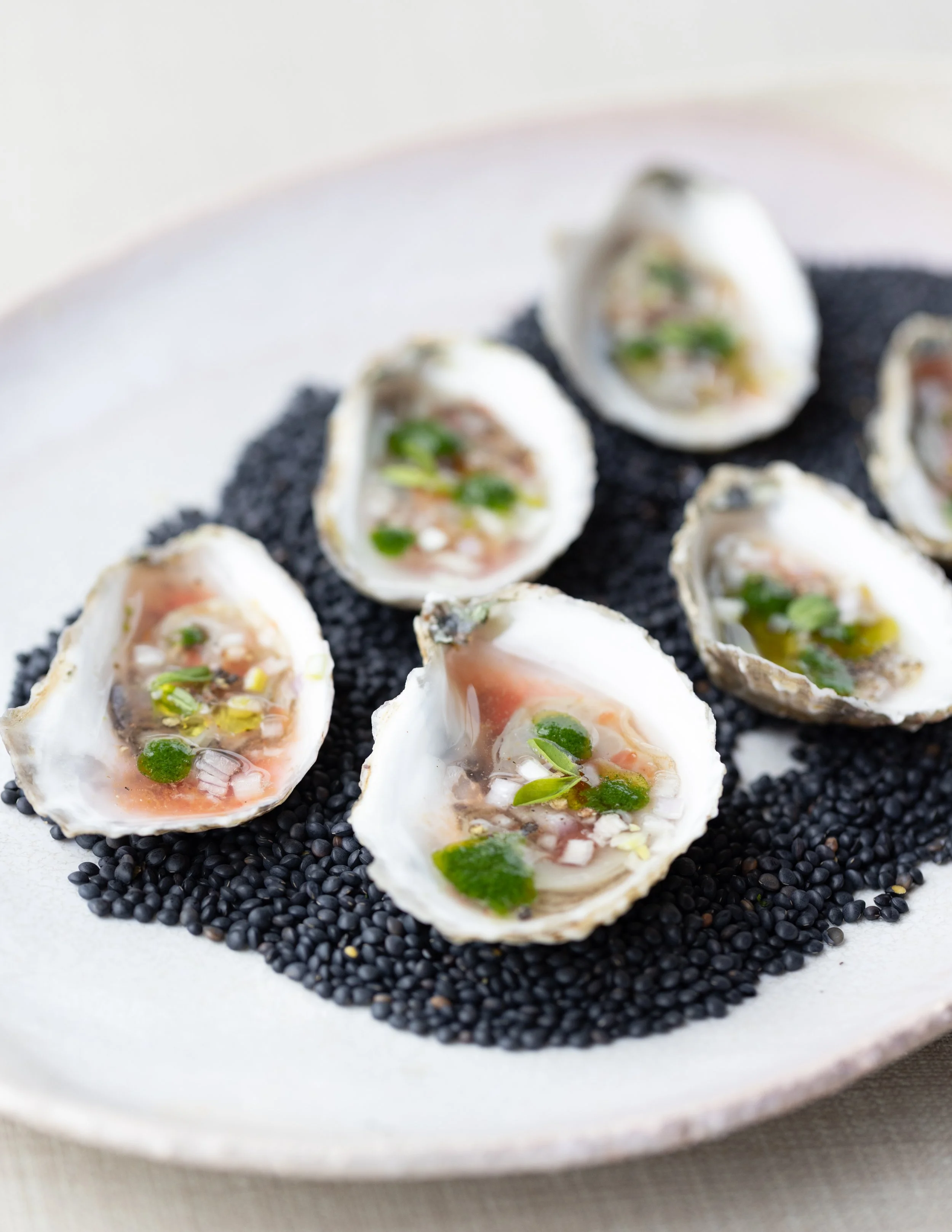 Raw oysters on a bed of black caviar, garnished with green herbs on a white plate.