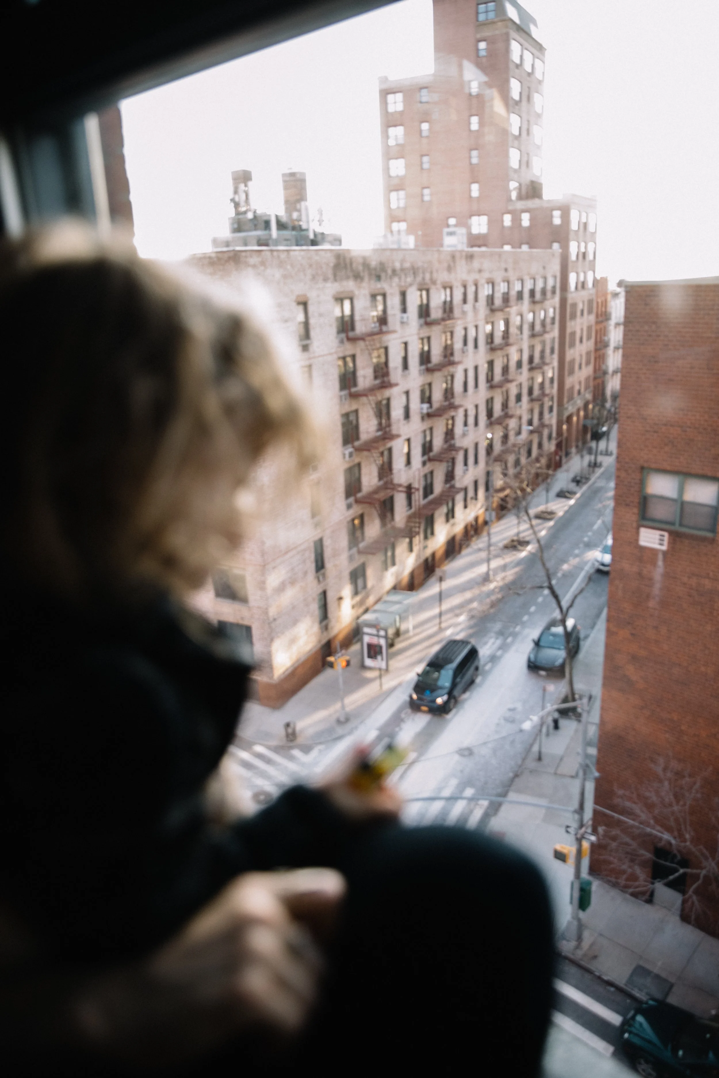 A city street seen through a window, with buildings, parked cars, and a tree, in the background. Part of a black and white cat is visible in the foreground, looking out.