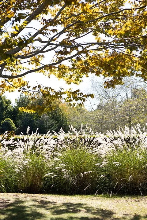 Sunset Bridgehampton Estate Photographer