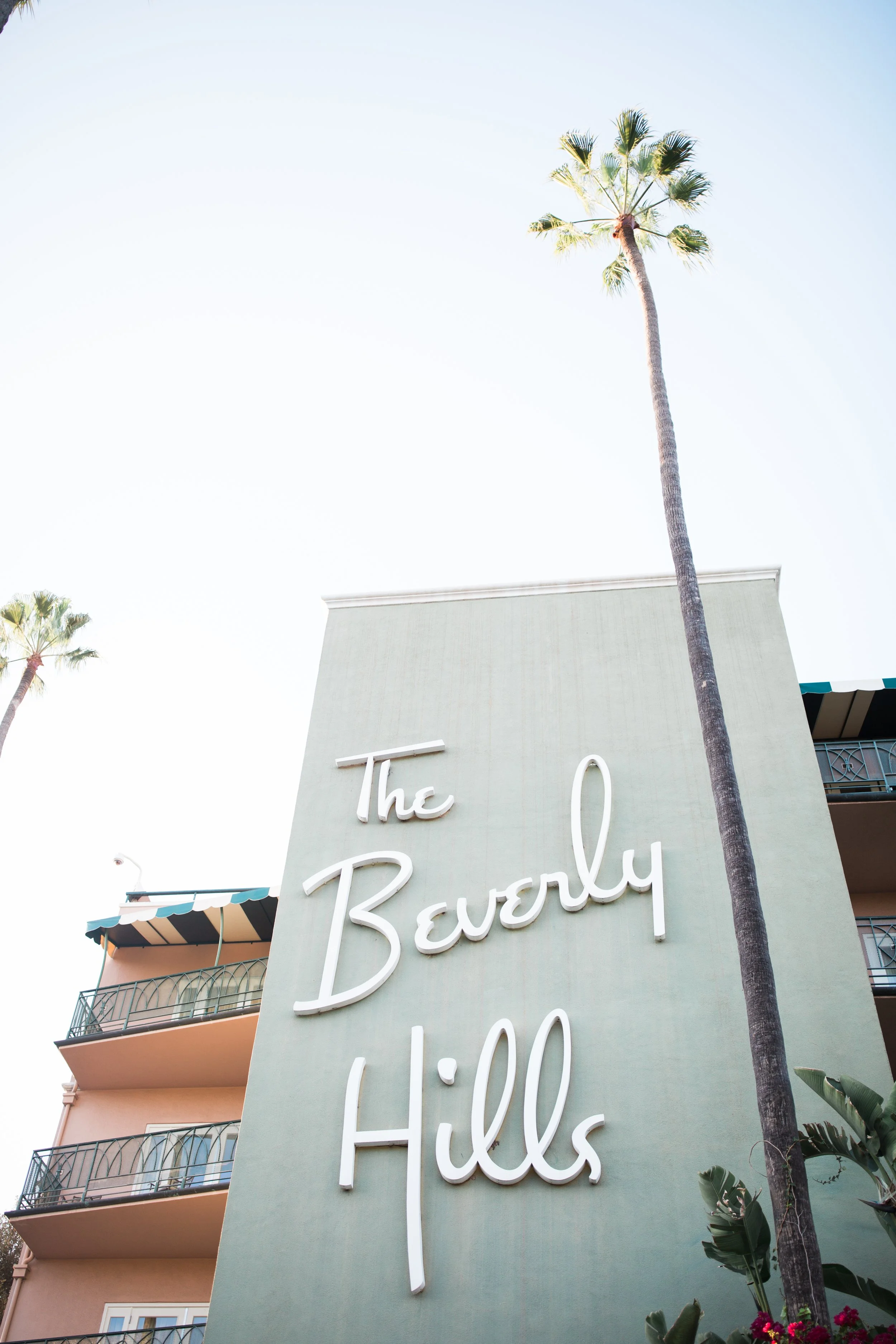 A tall palm tree is visible in front of a building with a green exterior wall and a sign that reads 'The Beverly Hills Hotel' in white neon letters. Part of a balcony and the blue sky are also visible.