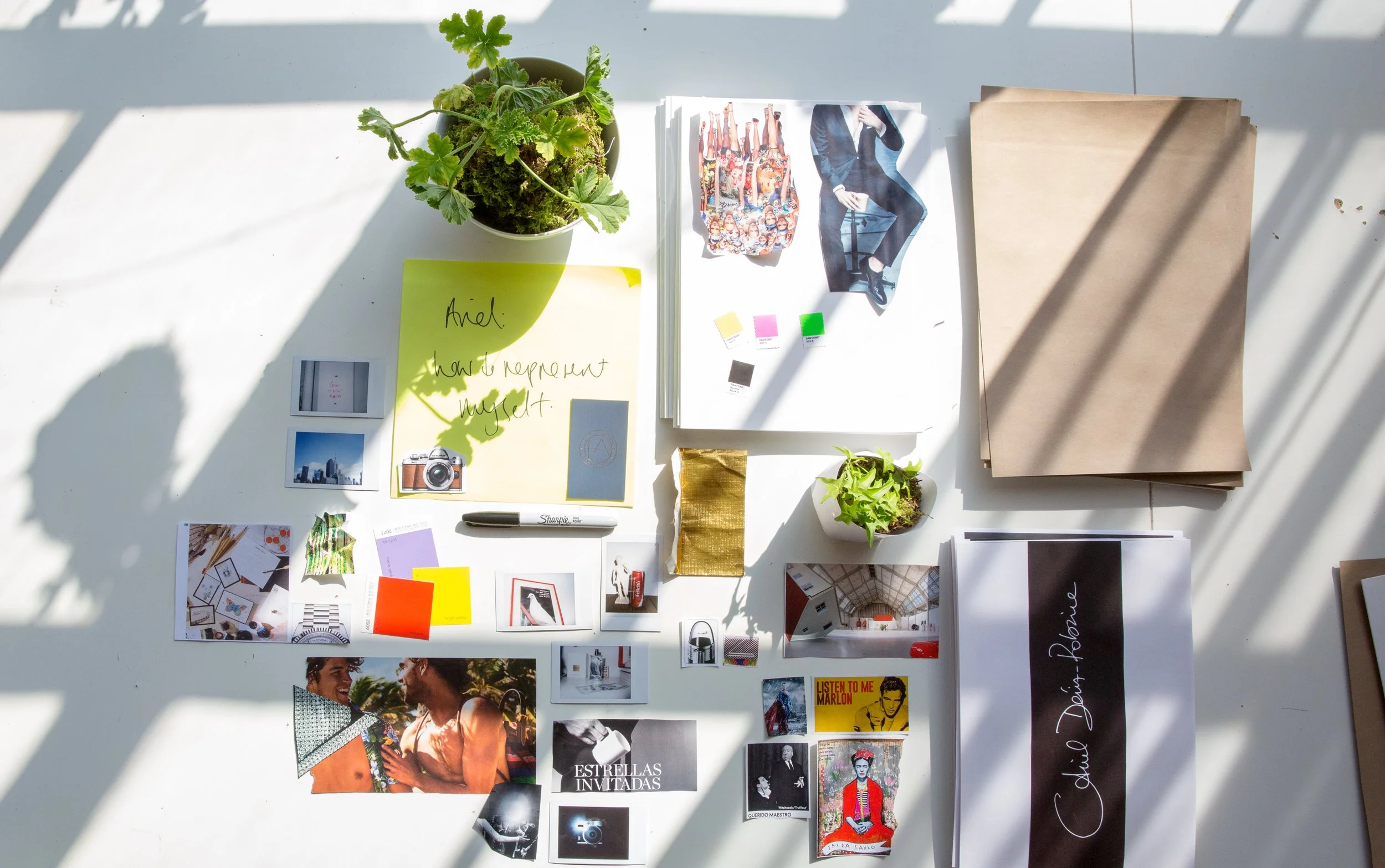 Overhead view of a white table with various printed photos, brochures, and color swatches, along with two small potted plants, a yellow sticky note with handwritten text, and brown envelopes, casting shadows from nearby window slats.