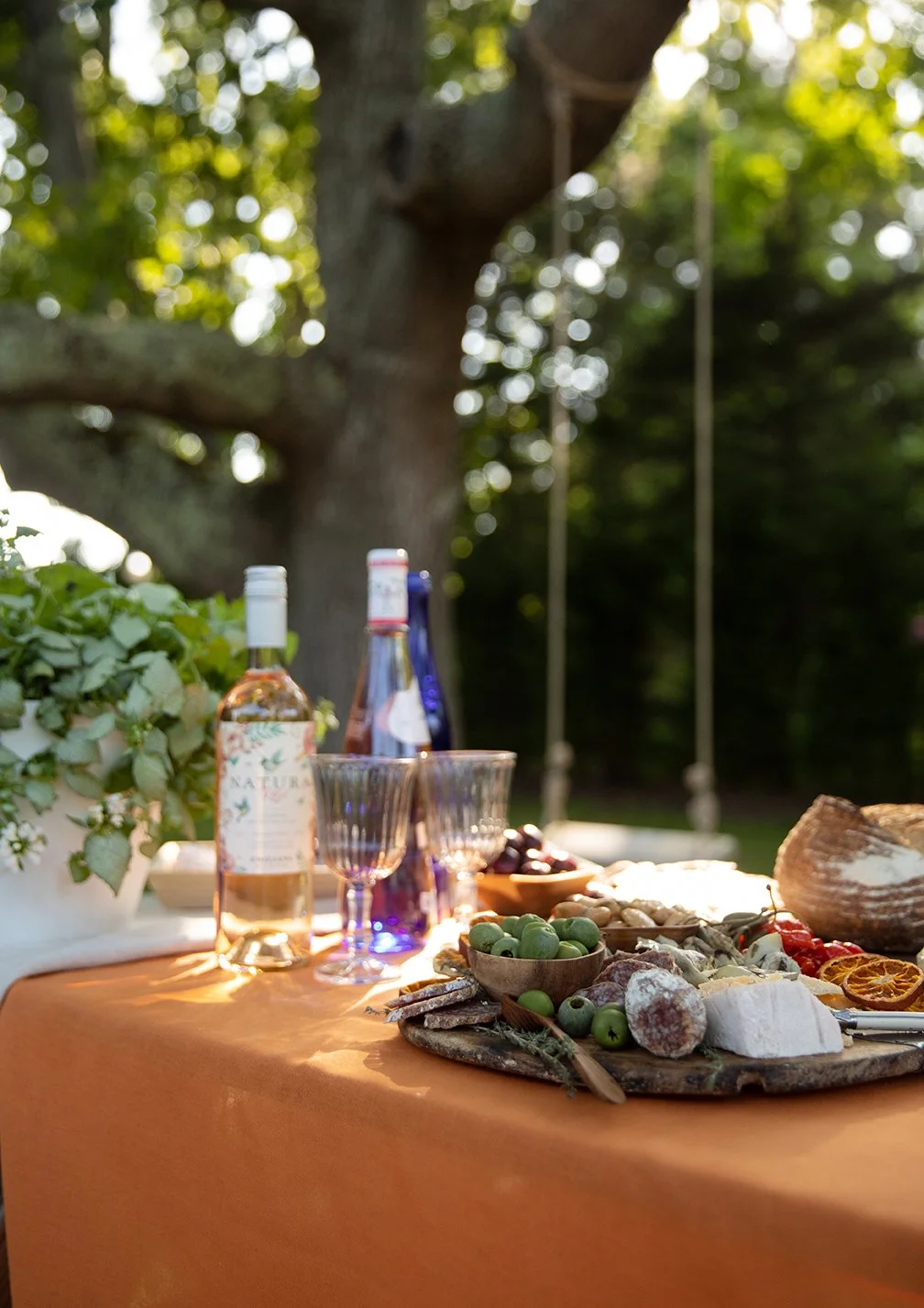 Outdoor picnic table with cheese, olives, and wine bottles, set under trees.