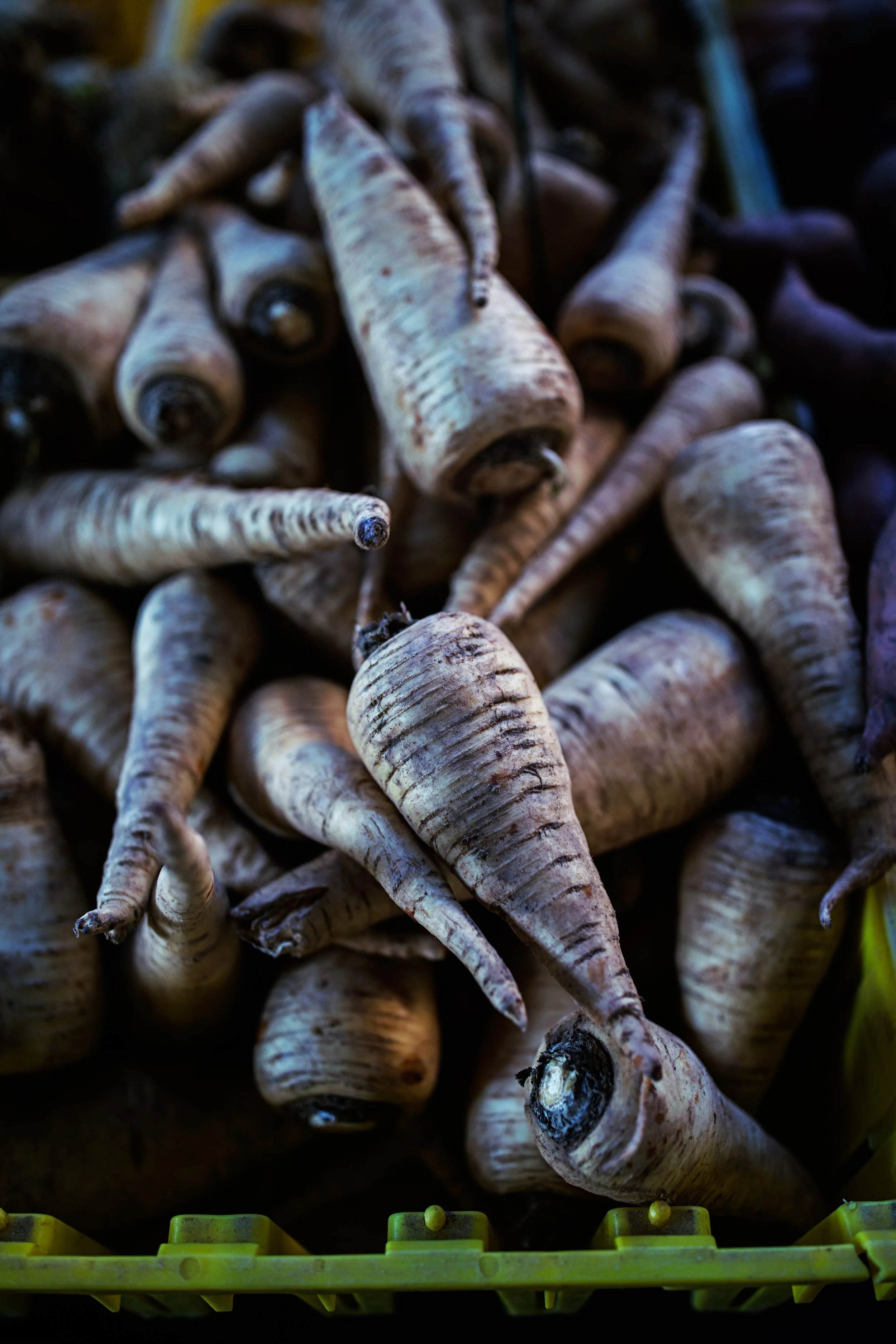 Well-Within-FarmersMarket--2.jpg