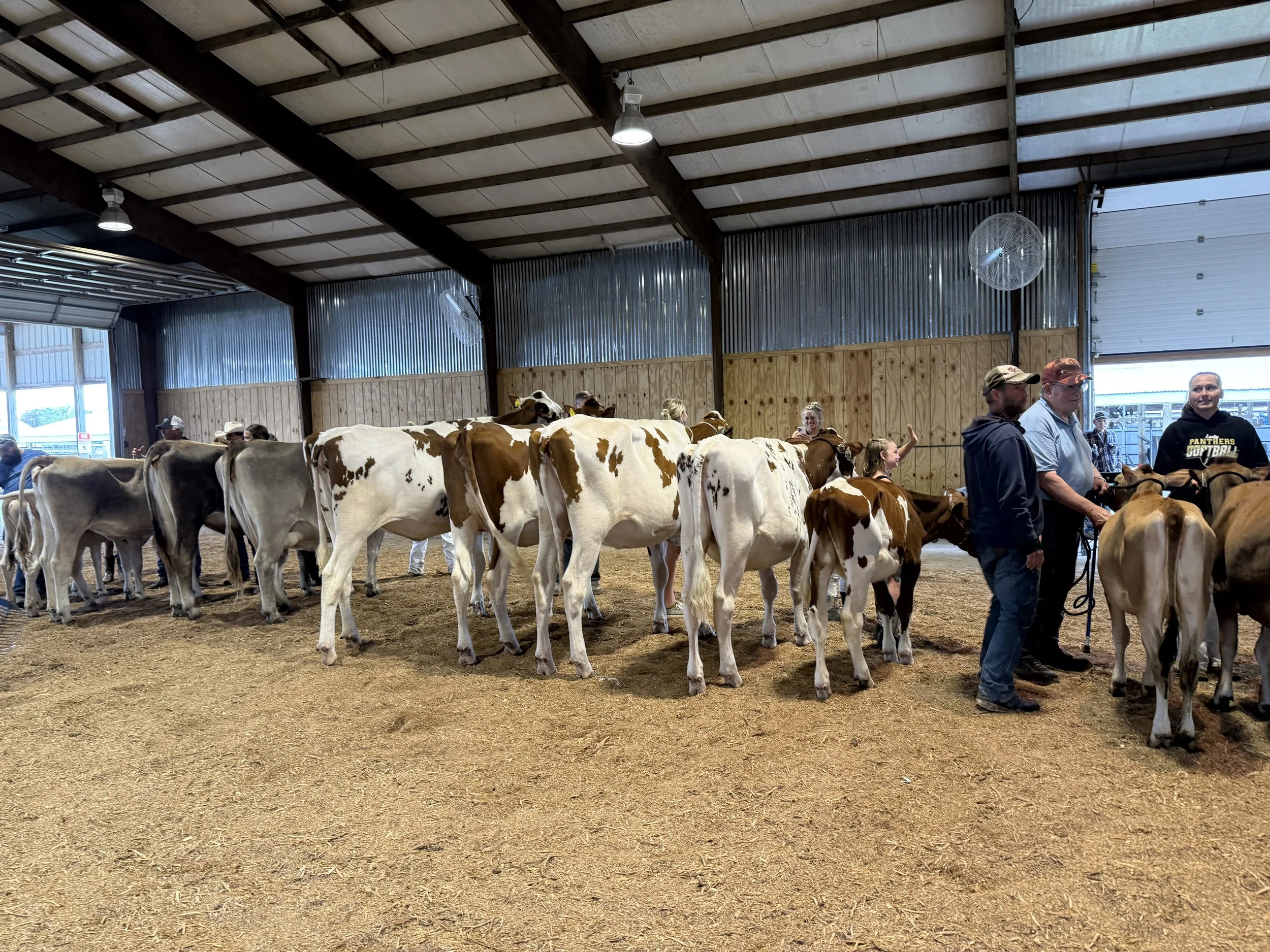 Three Hats, One Fair: Our Adams County Fair Experience