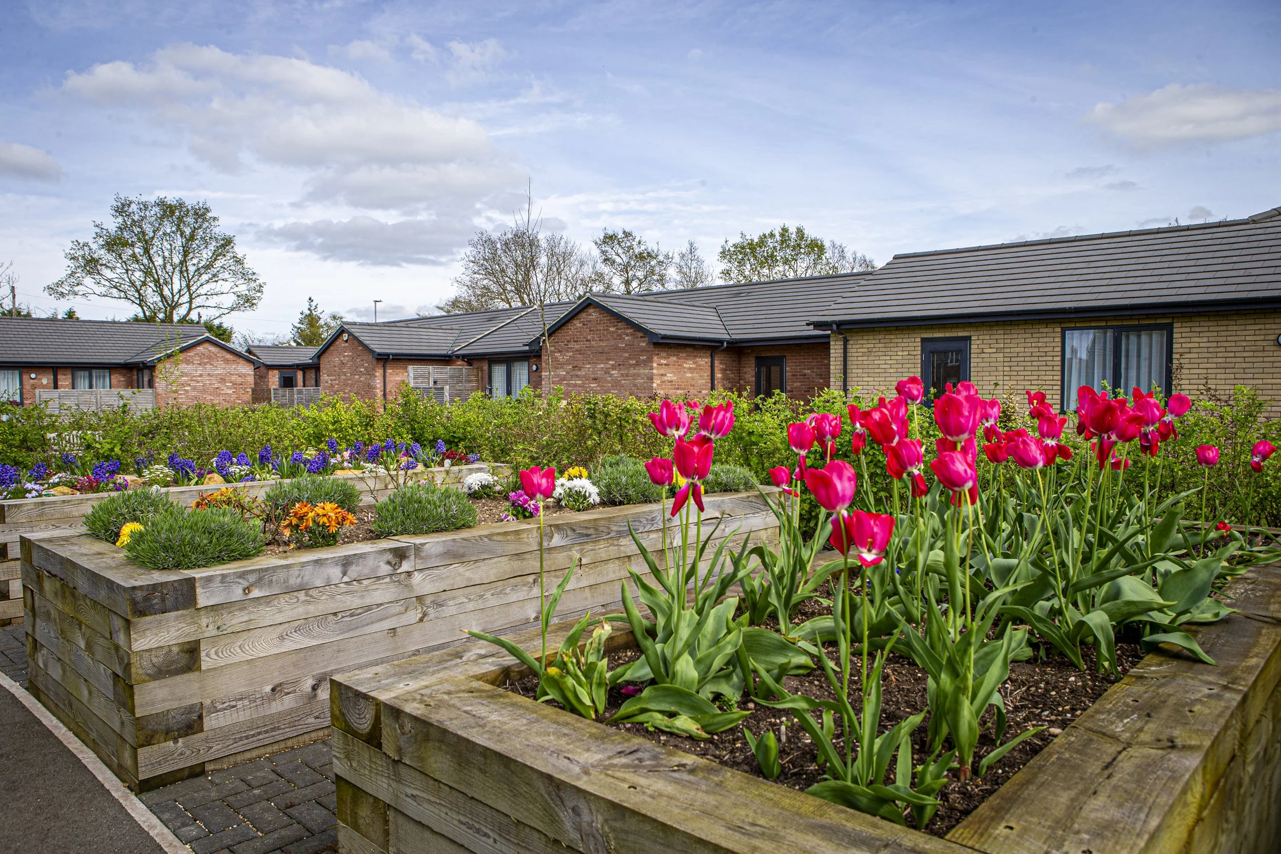 Gusto corporate 140424383.jpg