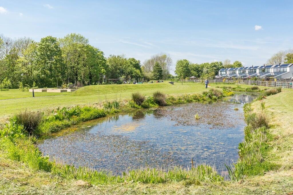 A peaceful park scene at Woodlands Edge, Lincoln, with a pond surrounded by green grass and trees, with a row of blue houses in the background and a person walking along the pond.
