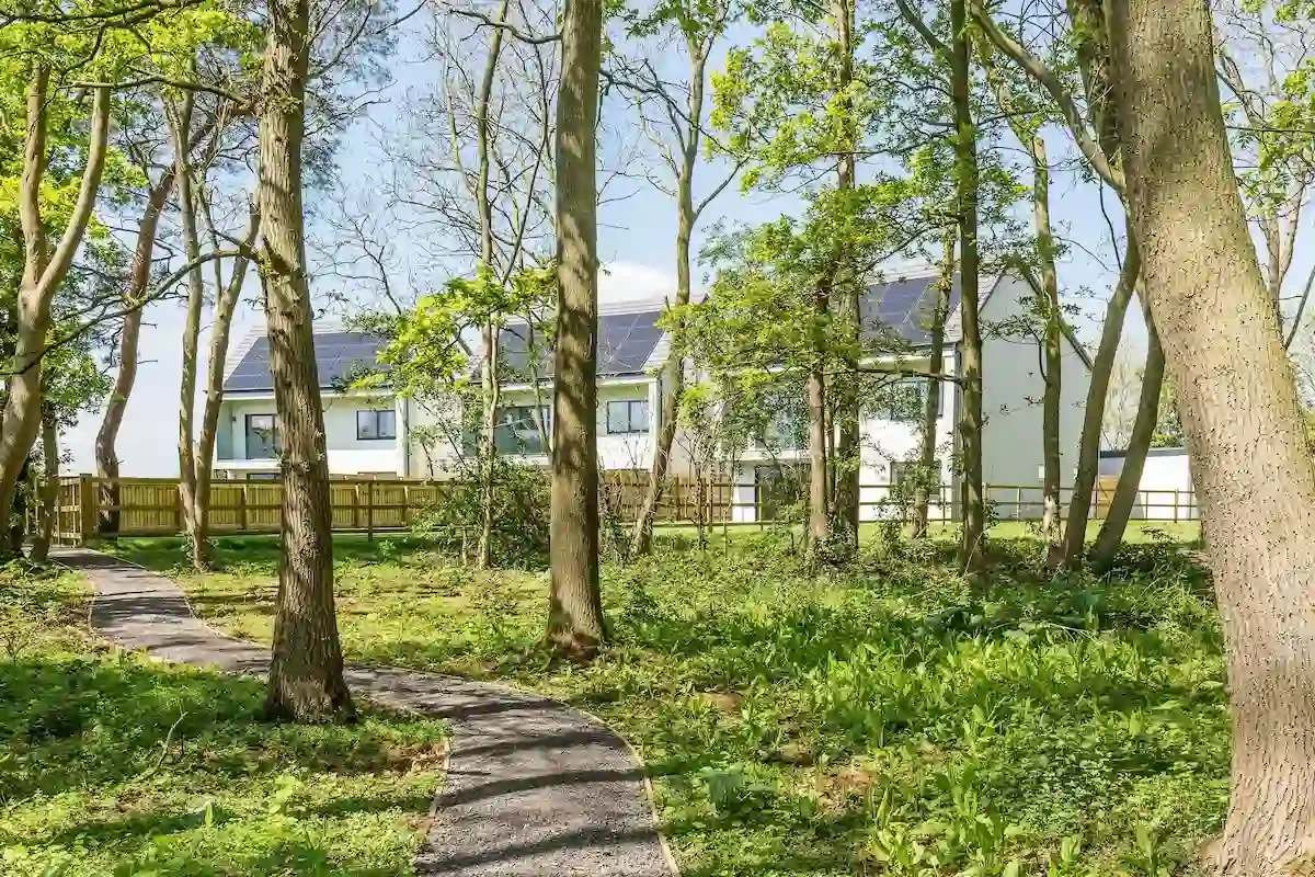 A winding paved path runs through a wooded backyard with grass and trees, leading to modern white houses with black roofs in the background.