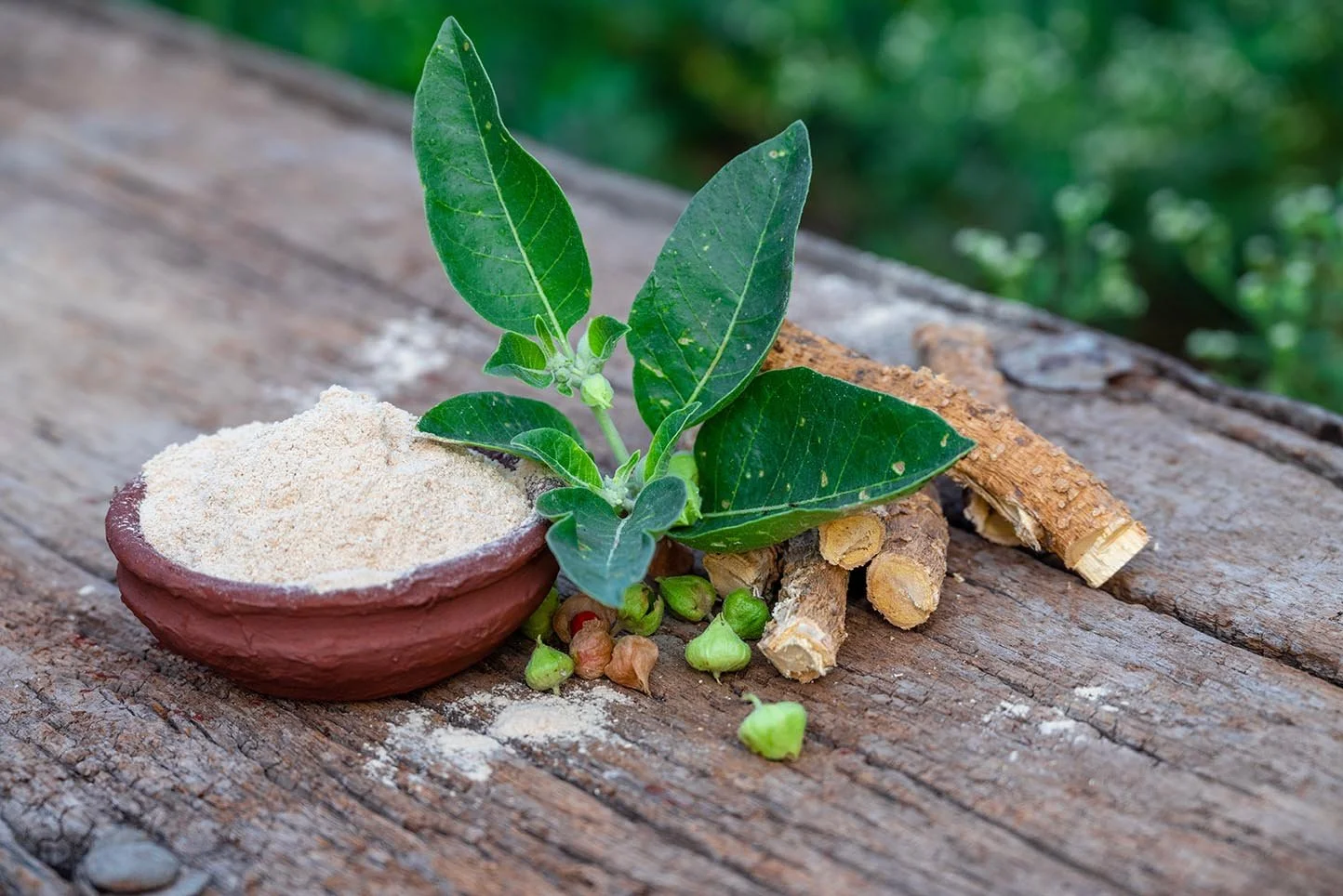 Finding Balance: How Adaptogens Help You Manage Stress Naturally