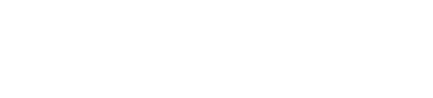 Lake Anna Dream Home