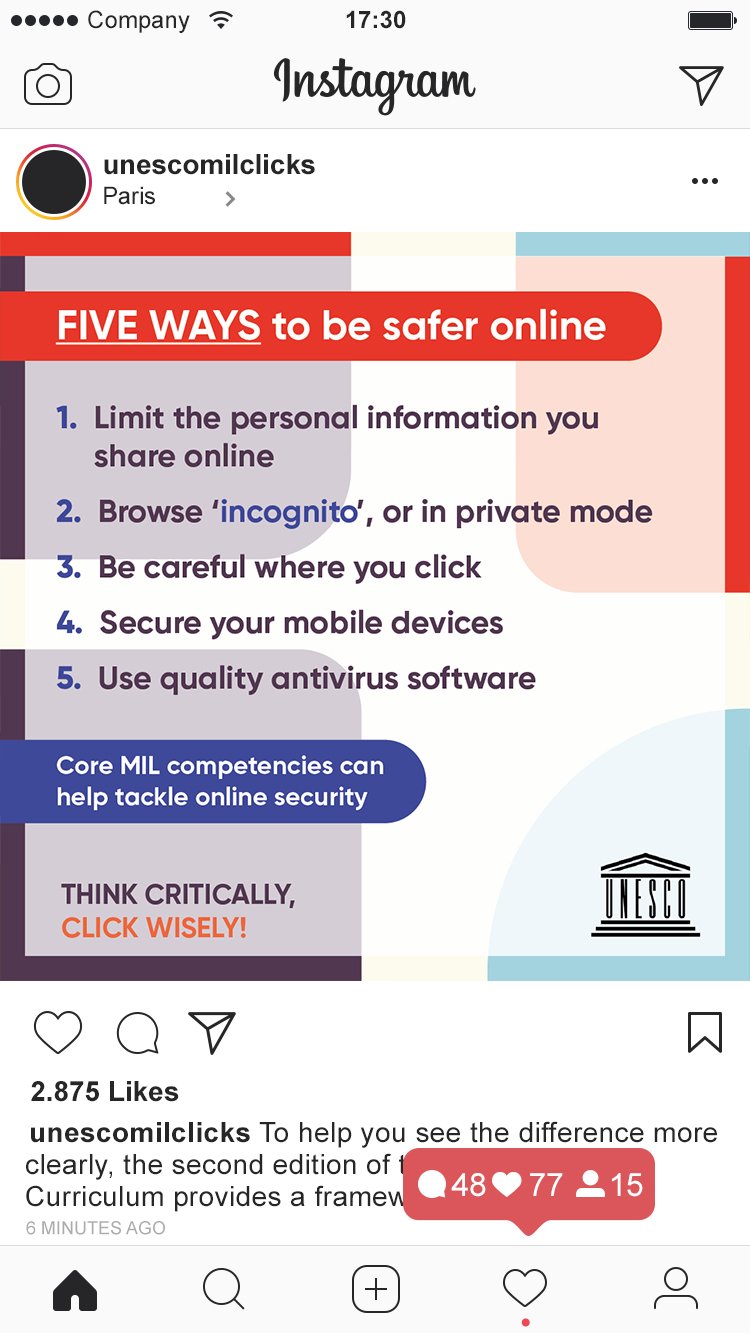 UNESCO Infographic Instagram Mockup 3.jpg
