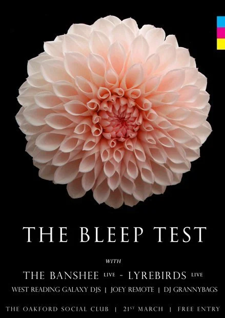 A large, cream-colored dahlia flower with tightly packed petals set against a black background, promotional poster for an event called 'The Bleep Test' featuring bands The Banshee and Lyrebirds, and other performers at The Oxford Social Club on March