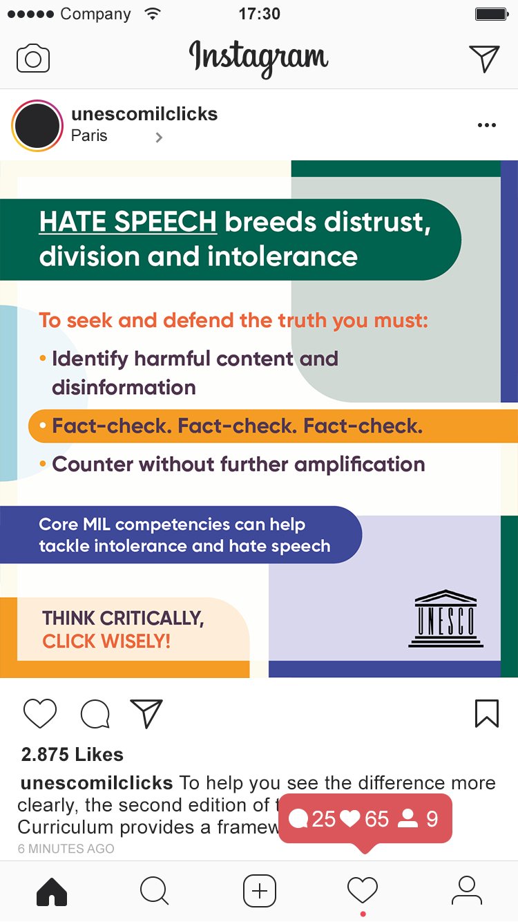 UNESCO Infographic Instagram Mockup 2.jpg