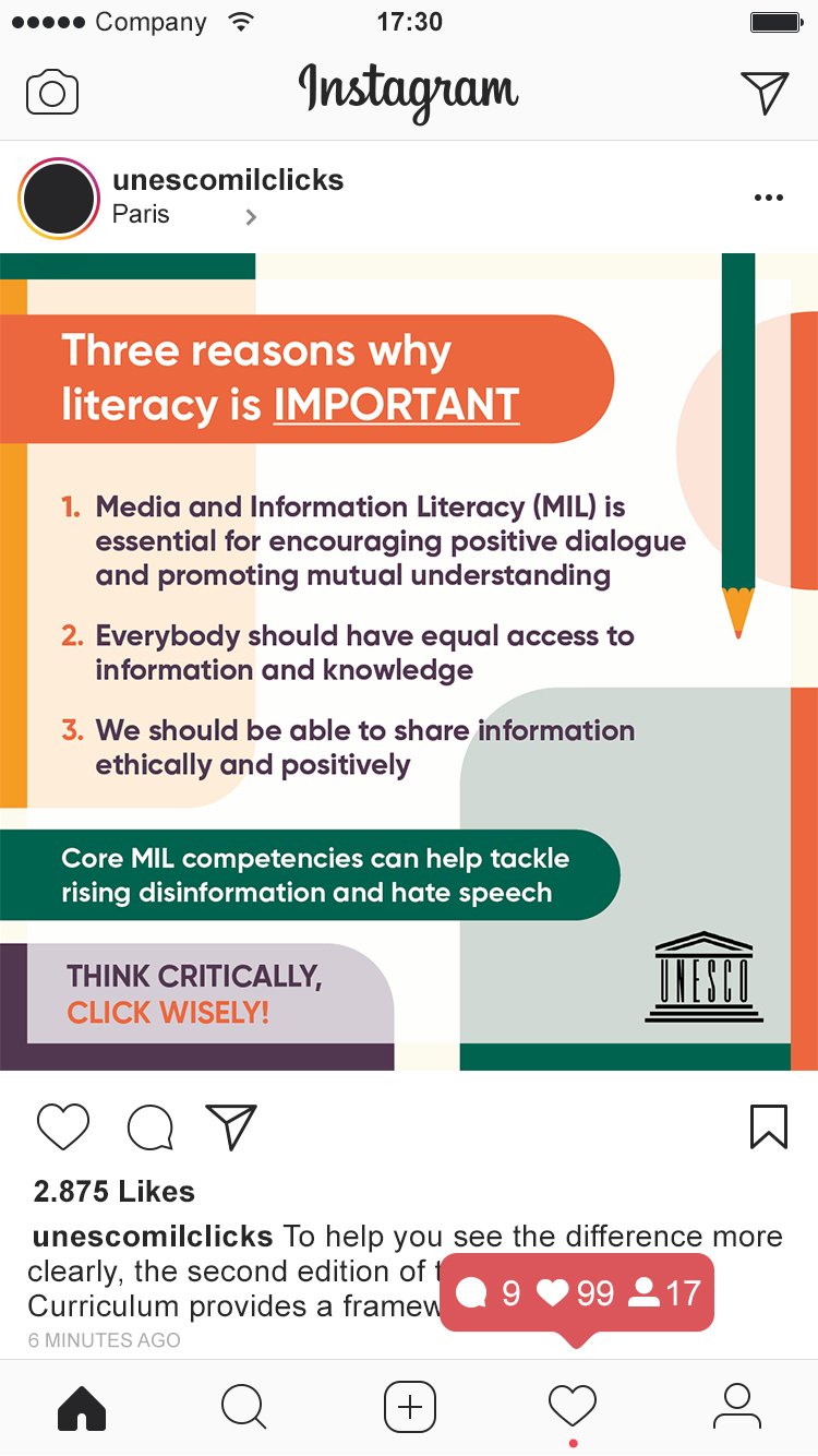 UNESCO Infographic Instagram Mockup 1.jpg