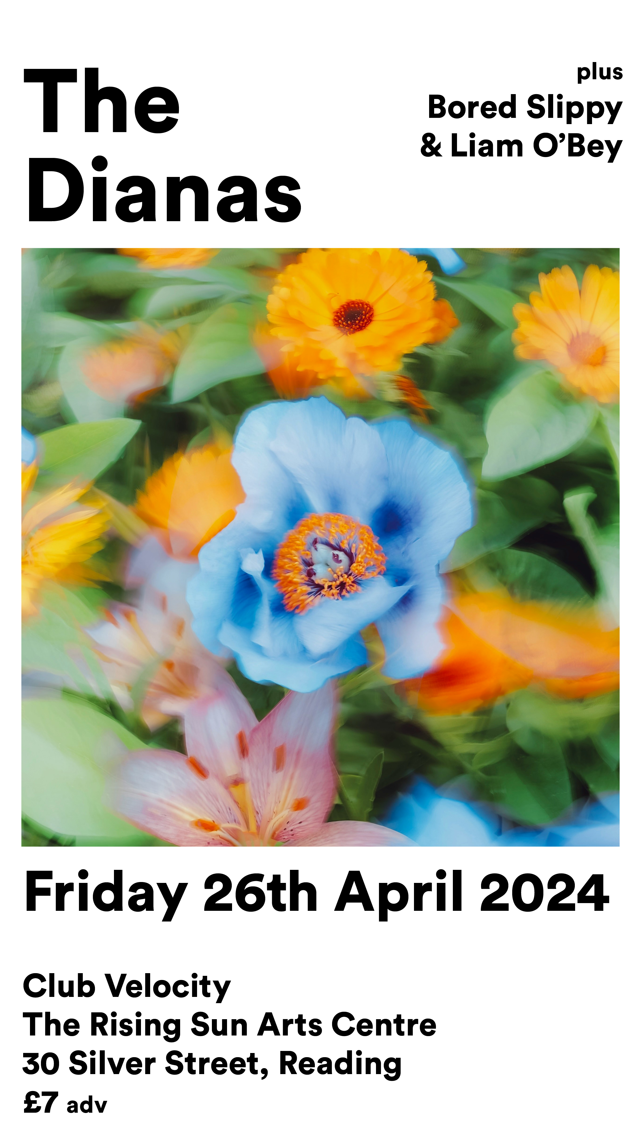 Close-up of brightly colored flowers, including a blue poppy, yellow and orange daisies, and pink lily-like flower, surrounded by green leaves
