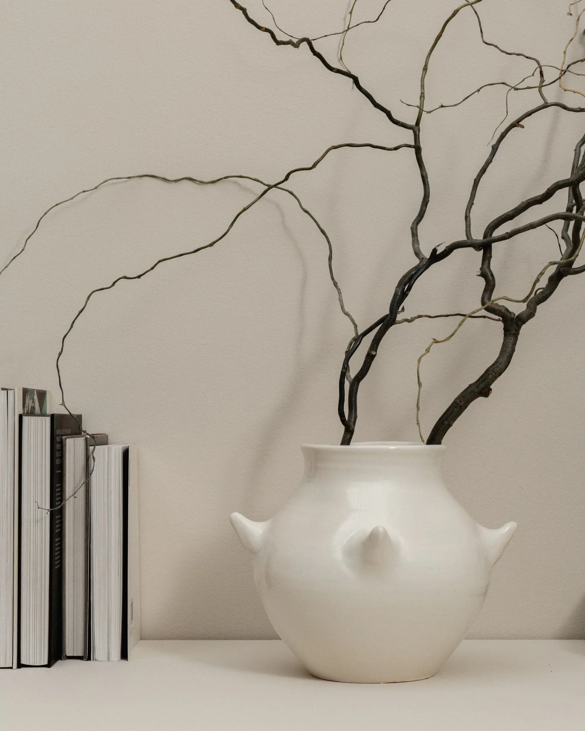 MCS_C0088_01-8-Edytuj2 copy.jpg