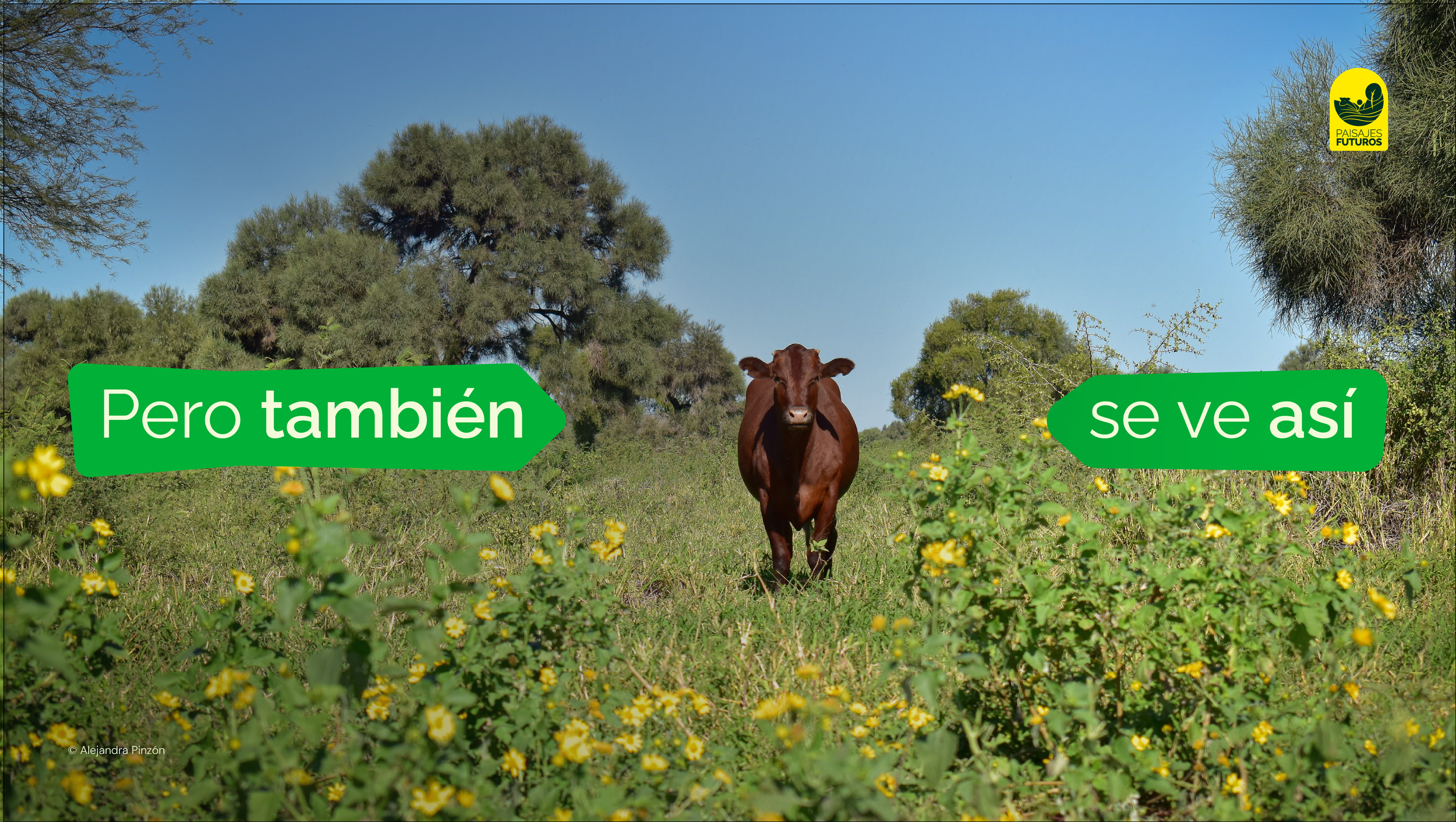 The Nature Conservancy, Paisajes Futuros: Transformar la narrativa para transformar el sistema