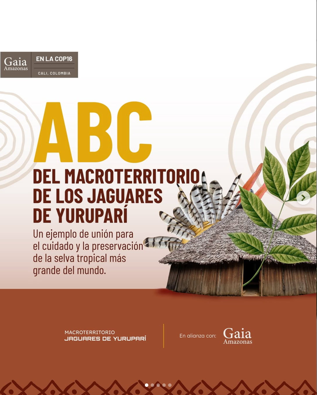 Screenshot 2025-07-24 at 7.37.55 PM.png