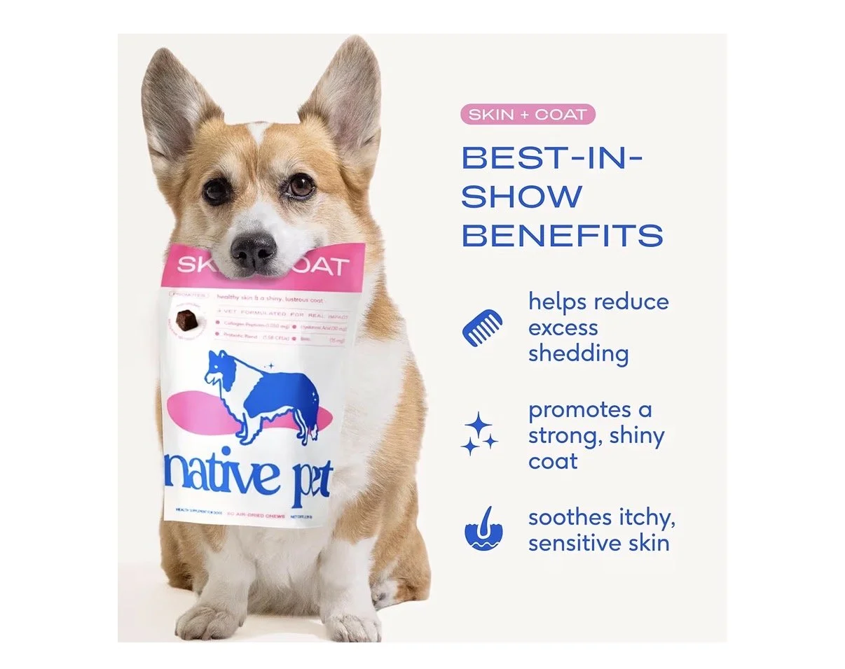 Skin + Coat Chews  Skin & Coat Supplement for Dogs