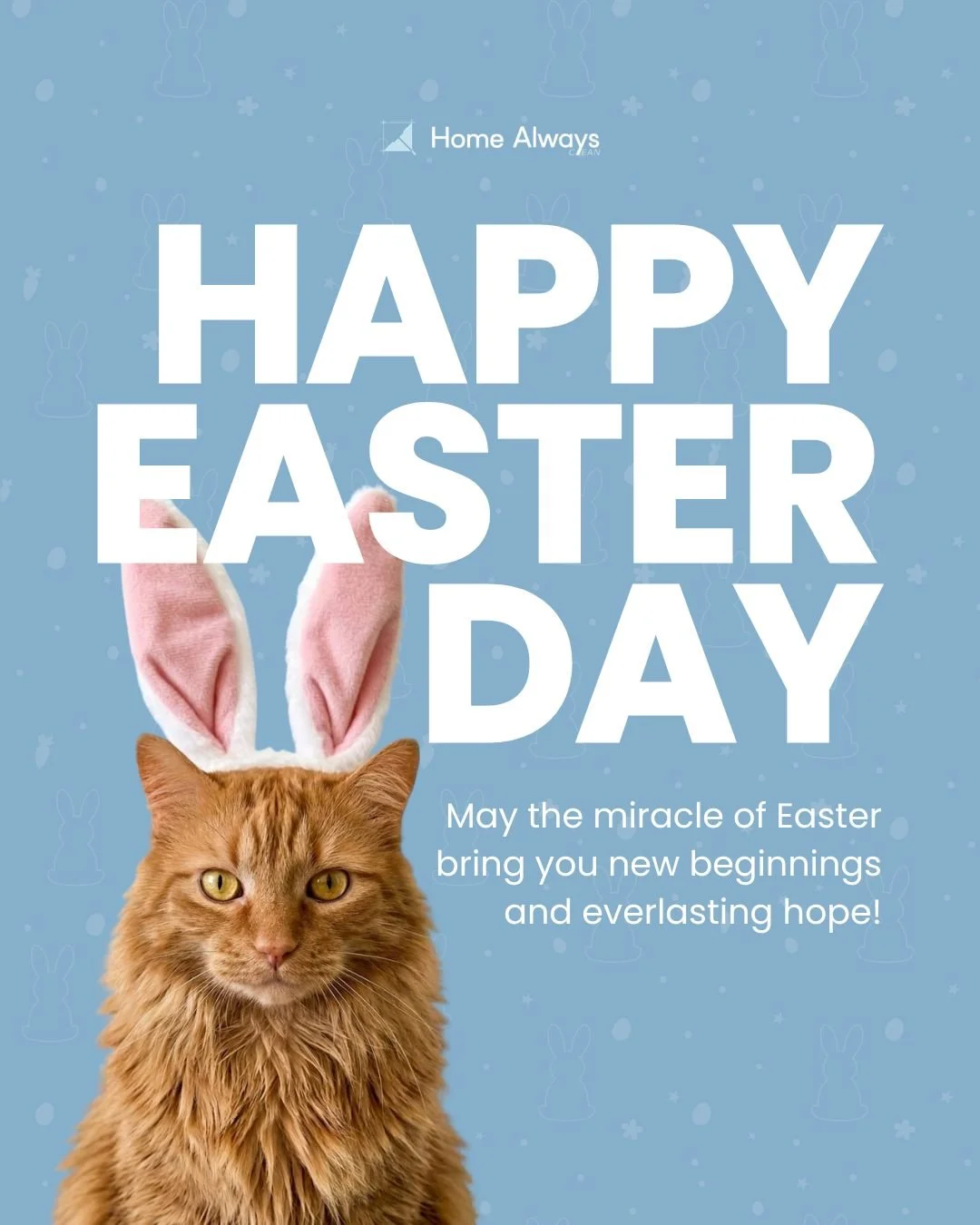 Our mascot Ozzi is here to wish you a Happy Easter! 🐰✨

May this special season bring new beginnings, joy, and hope into your home and your life.

Wishing you a beautiful Easter filled with love, peace, and sweet moments!

 #homealwaysclean #cleanin