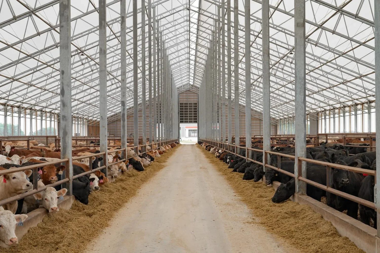 Dippel Farms — WeCover Structures