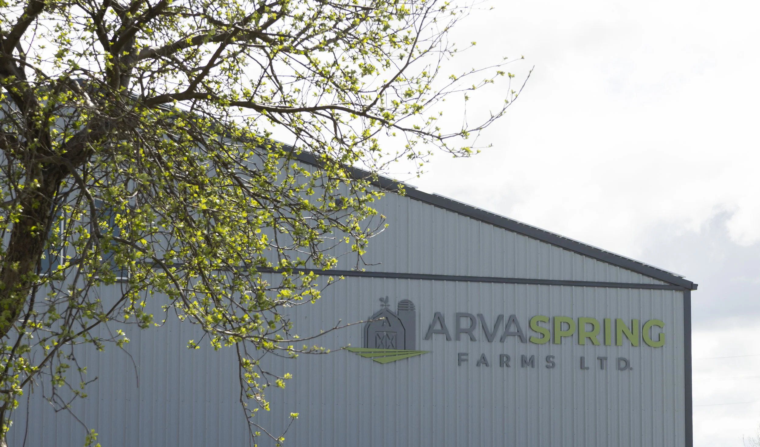 Arvaspring's Processing Plant-5.jpg