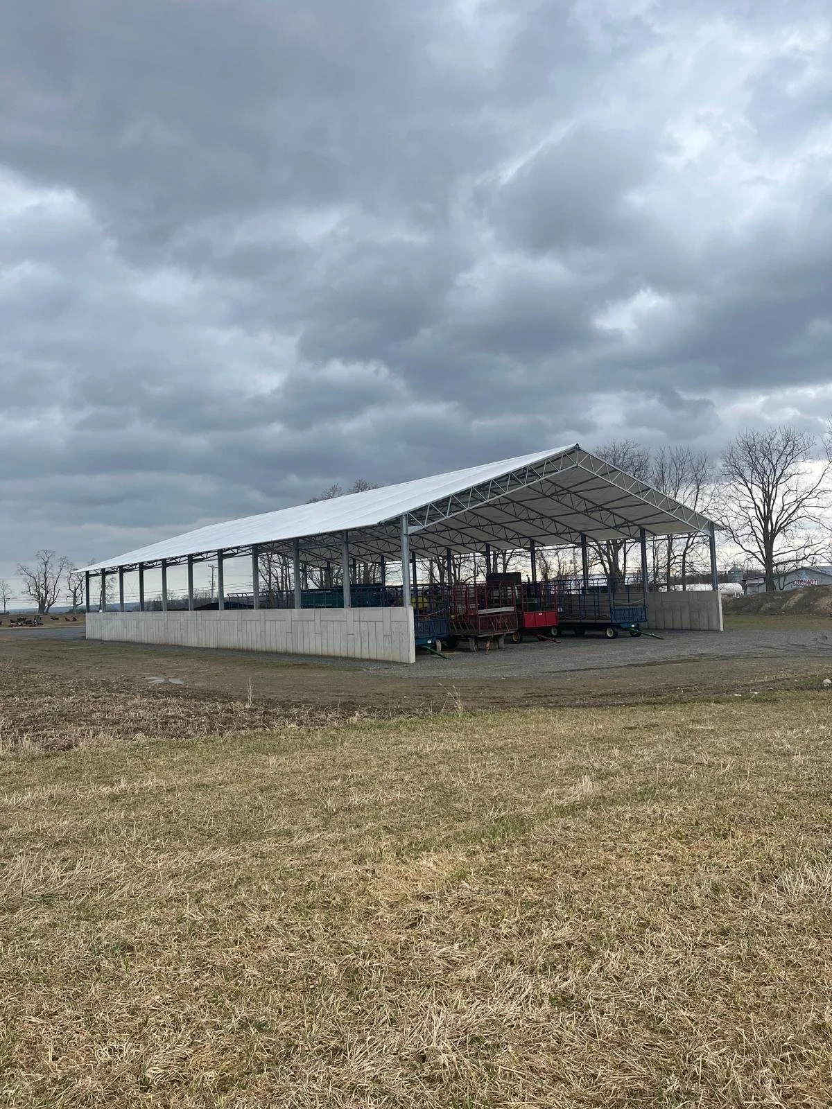 WhatsApp Image 2026-03-17 at 10.25.54 AM (1) (1).jpeg