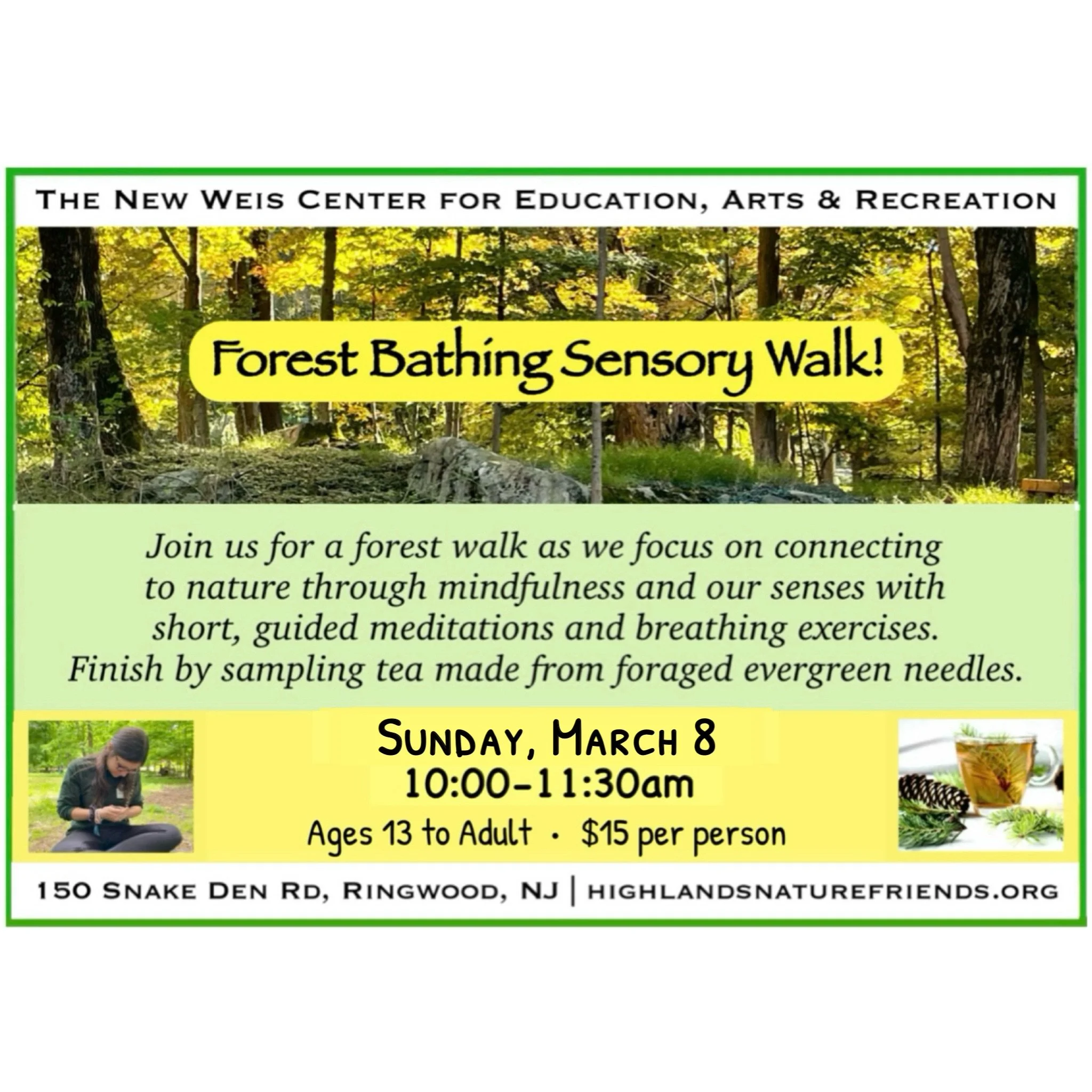 Forest Bathing Sensory Walk