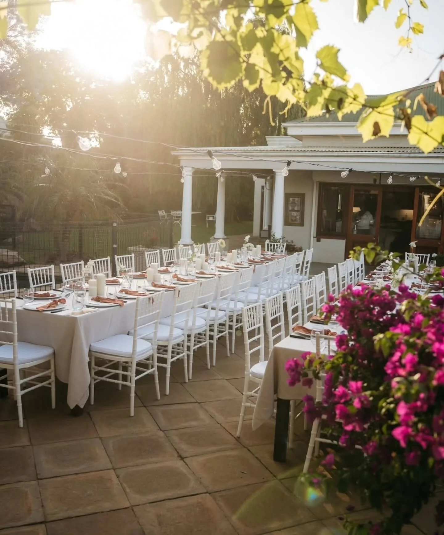 This week we took our little business into the big world of Stellenbosch wine country, where we had the honour of contributing to the heritage and history of a humble but ambitious family of 4th-generation grape farmers. 

Normally, we don&rsquo;t ta