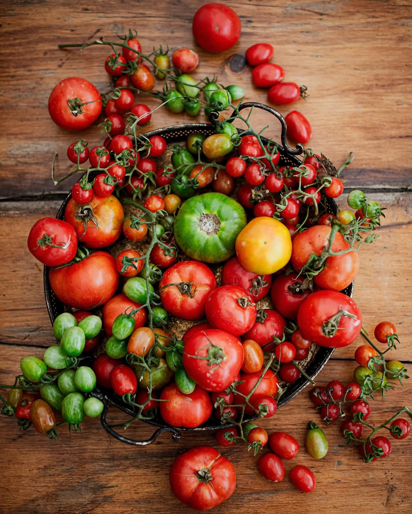 This Summer season has been the wildest time since moving here. It's been fast and unpredictable but incredibly rewarding at the same time. 

We realised how easy it is to focus on the challenges of a more rural life and we haven't given ourselves en