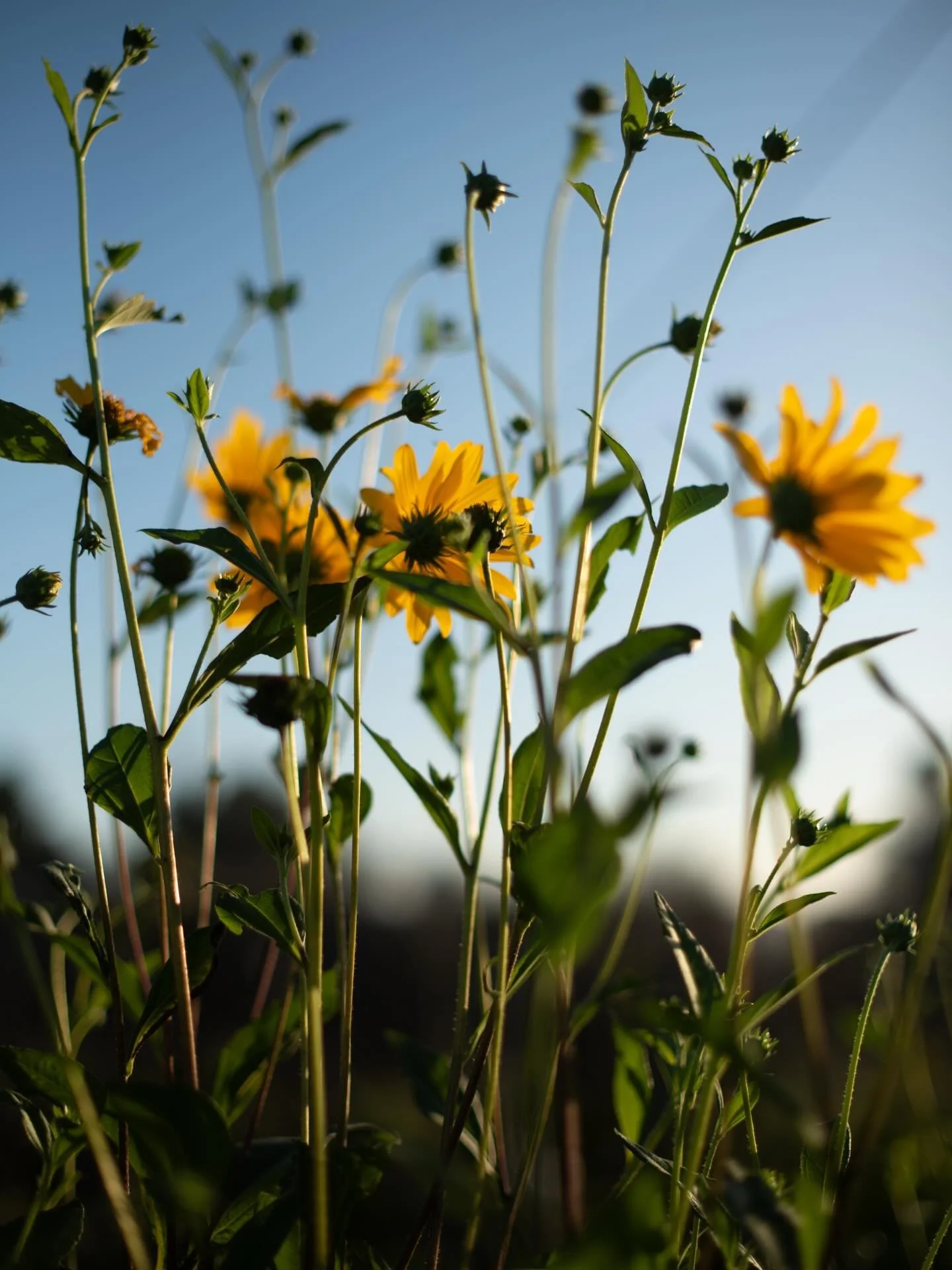 Some snippets and moments that felt truly real &mdash; this what we&rsquo;ve been up to over the past few weeks.

New friendships made,
Life lessons learned,
Wild adventures,
Hot days,
Safaris (always been my dream to see a elephant in the wild)&hell
