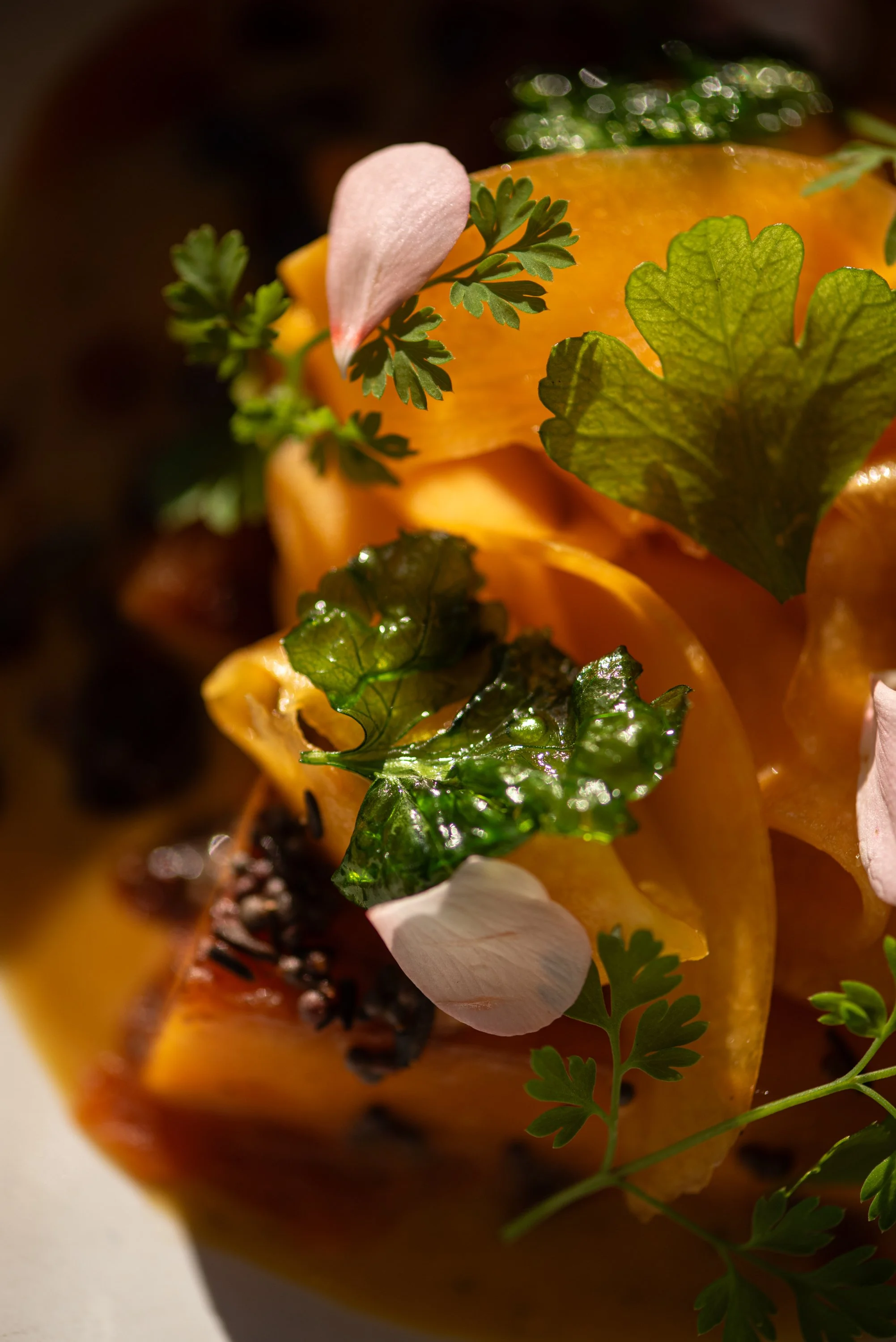 loveandtahini_250708_0128.jpg