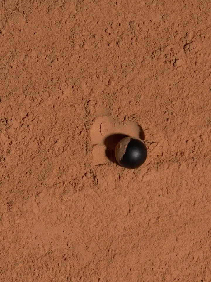 &ldquo;We challenged Merv&eacute; to help us bring to life what we&rsquo;re calling a &lsquo;Moodtopia&rsquo; - a series of short, looping videos to visually tell a rich narrative. Our ingredients are mostly brown, boring powders, but she transformed