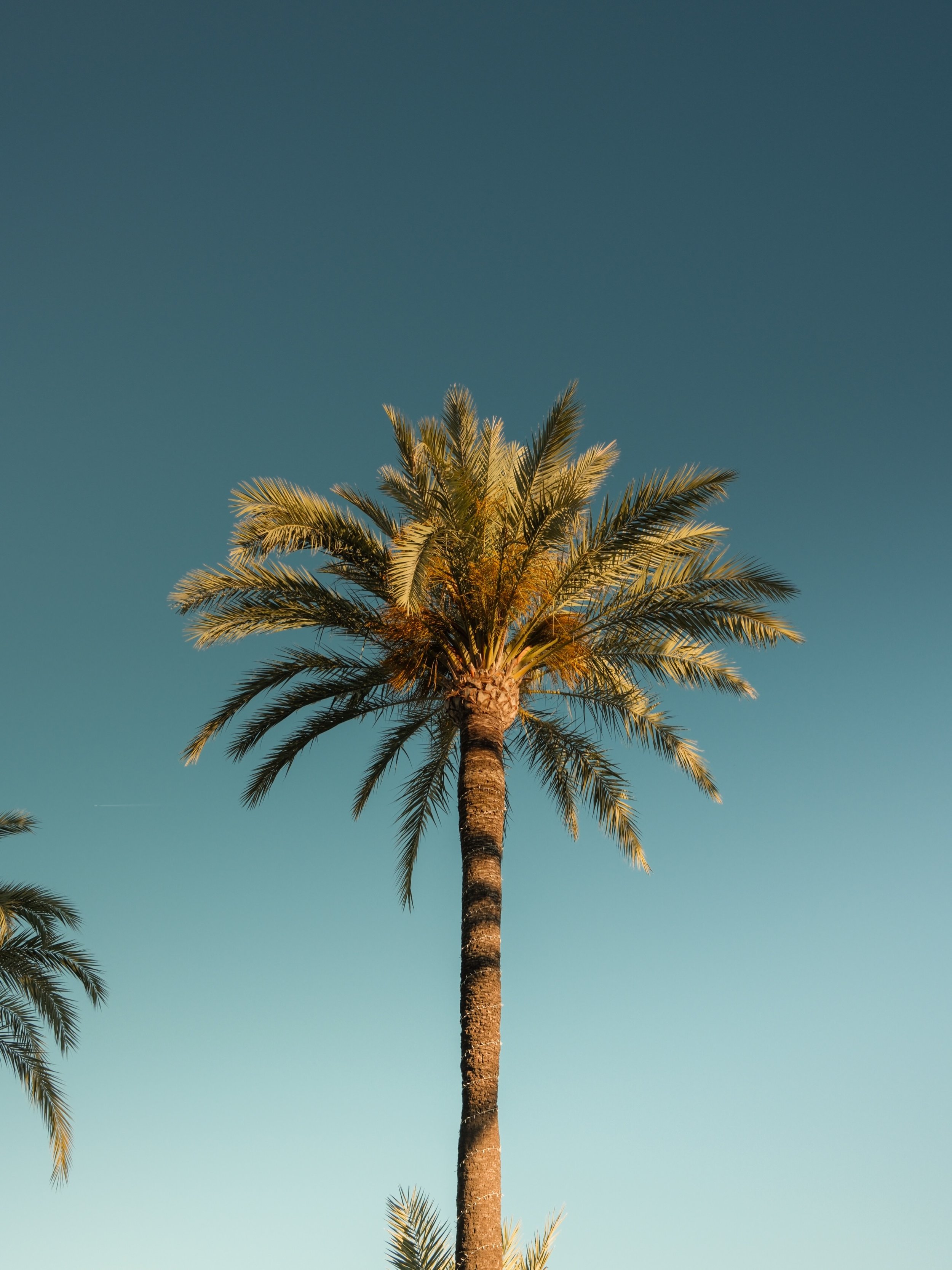 A little Spain recap with my @fujifilmnederland 
🌶️🫒🍒💦🤍🌴🍦🫧

#annabeltuithofwork #benissa #fujifilm #spain #photography