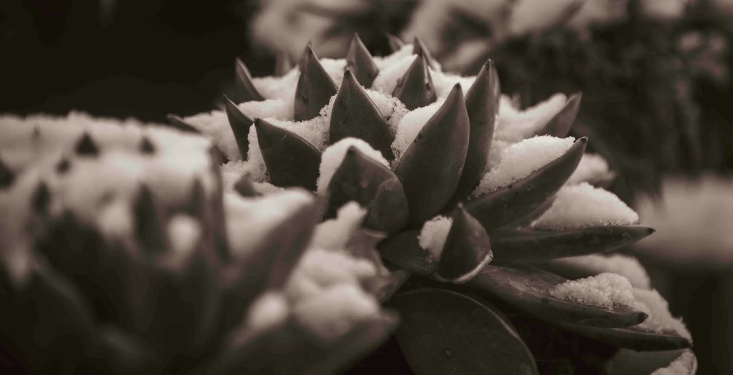 The Quiet Echoes of Childhood Experiences – Gentle Steps Toward Healing in Adulthood